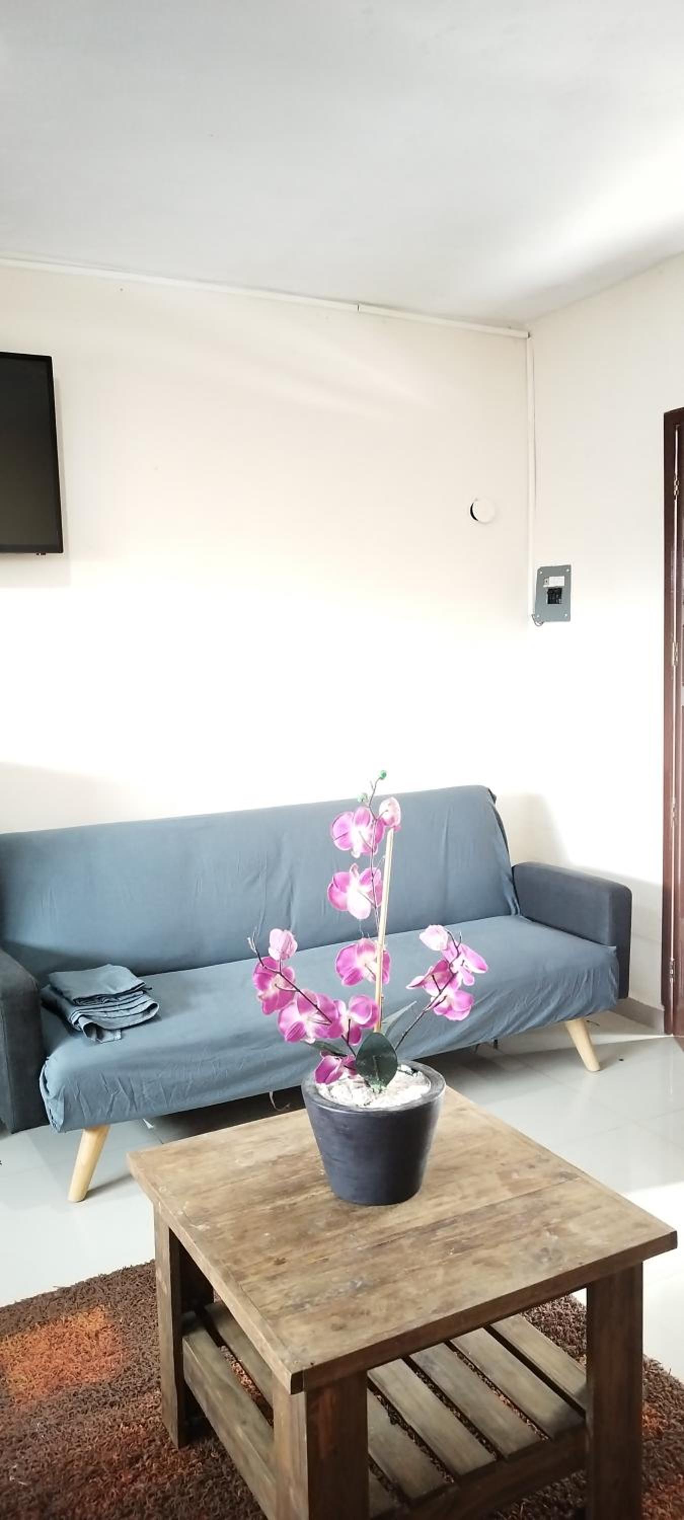 Family Studio - Photo 16