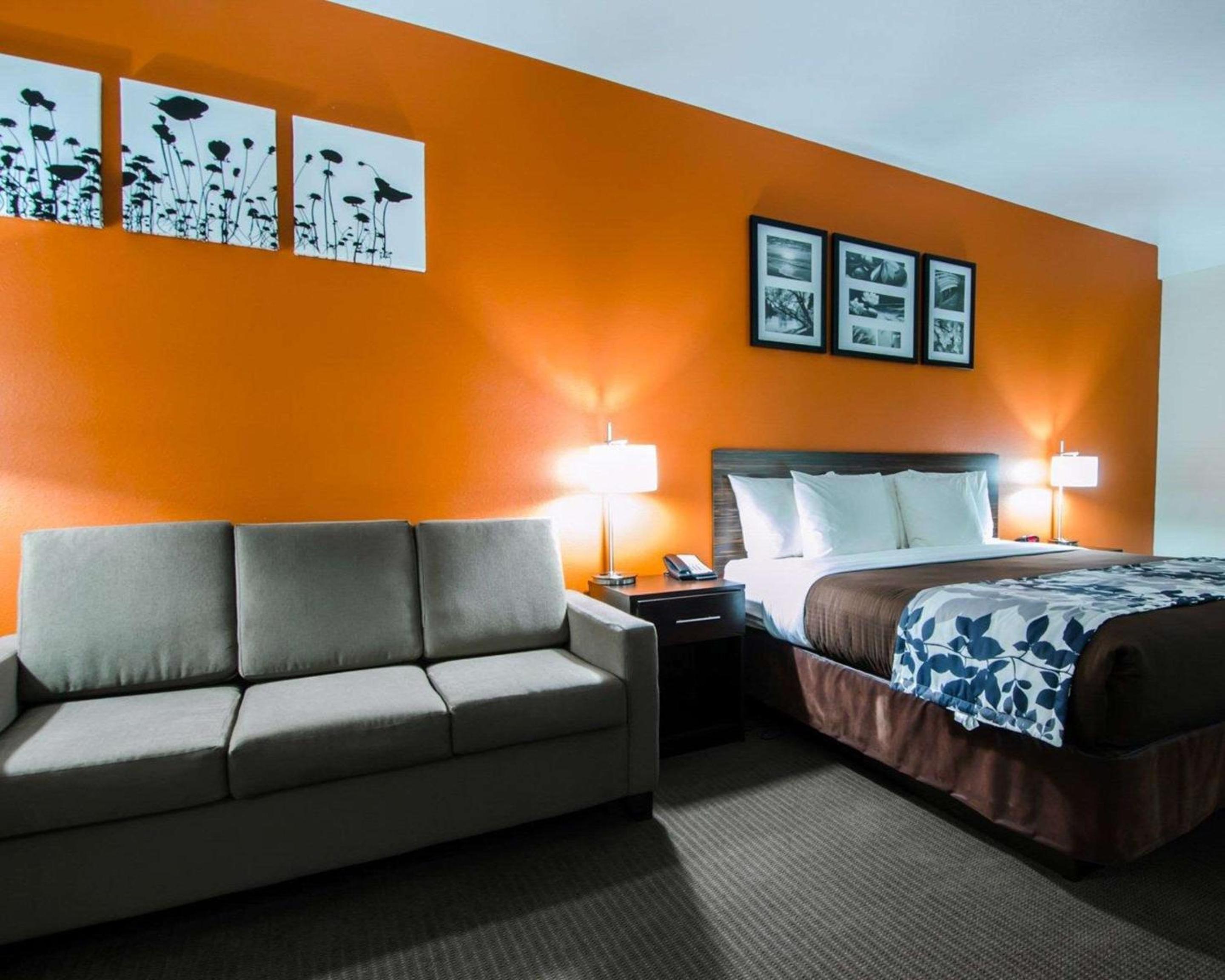 King Suite photo 1