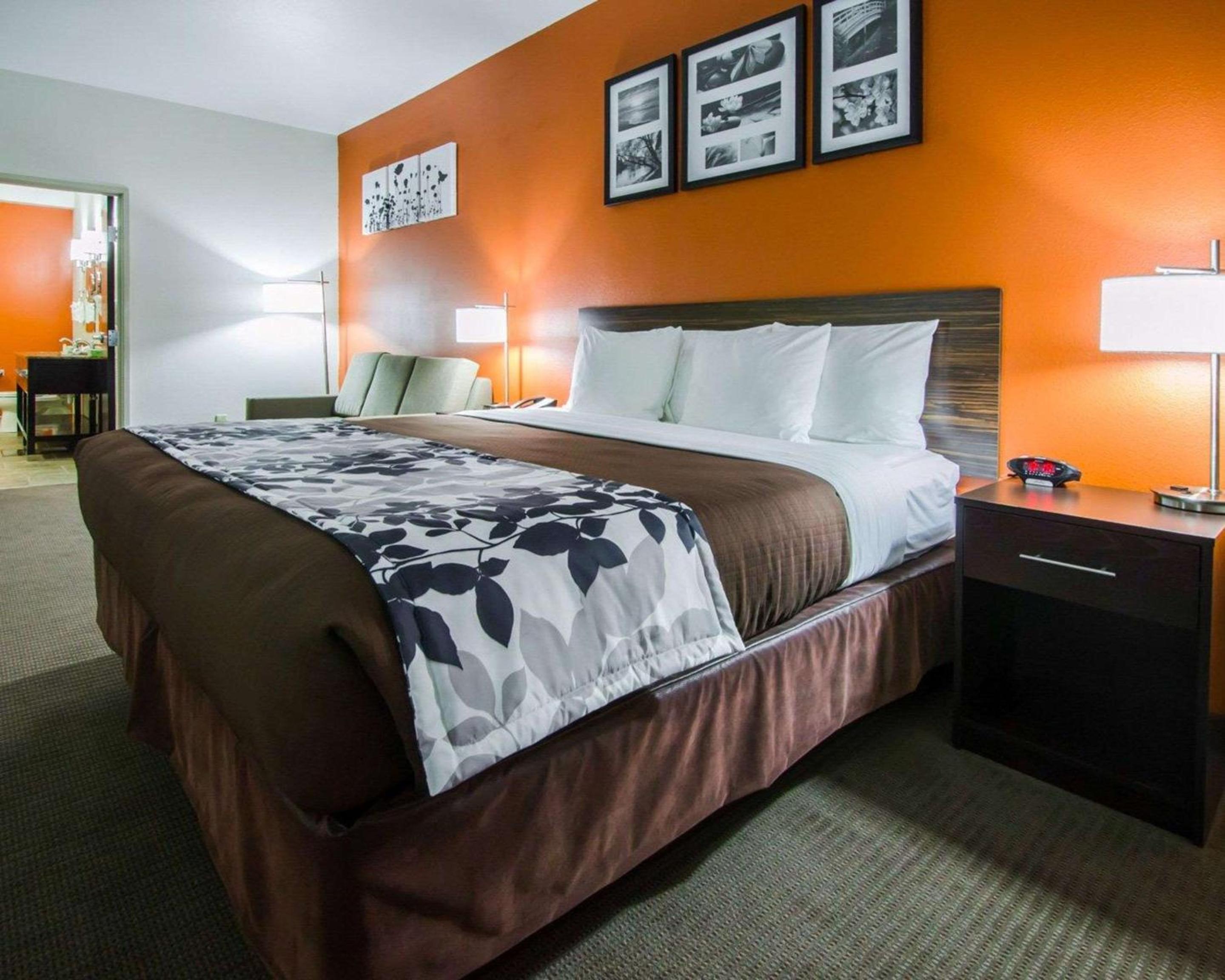 King Suite photo 2