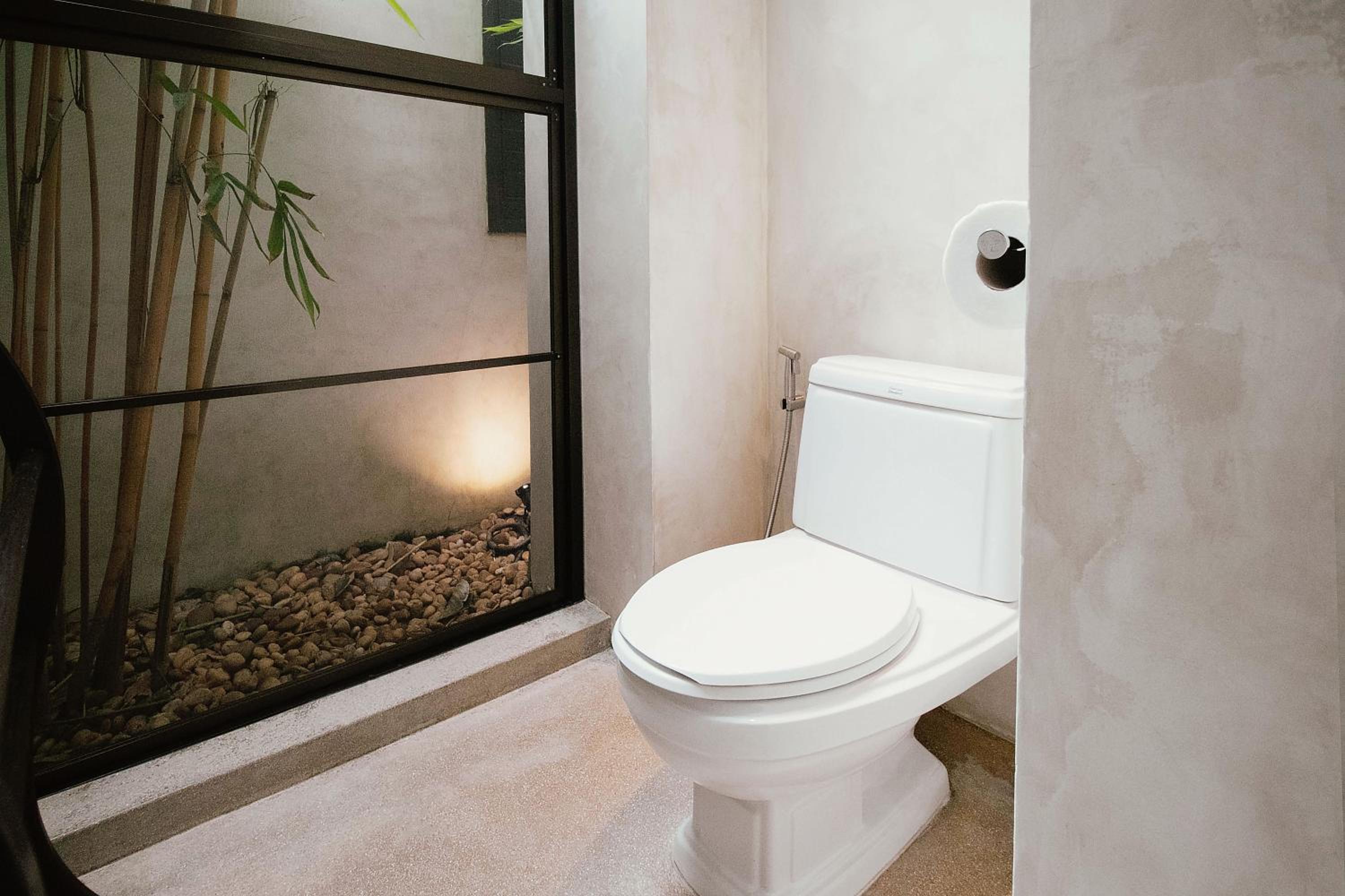 Plunge Pool Suite King - Photo 5