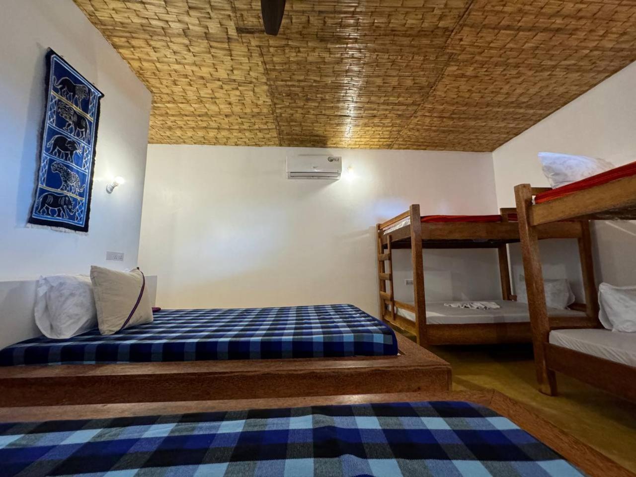 Bunk Bed In Mixed Dormitory Room