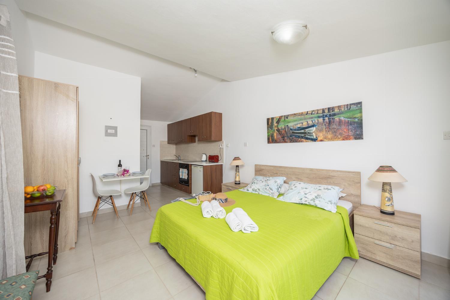 One-Bedroom Apartment photo 2