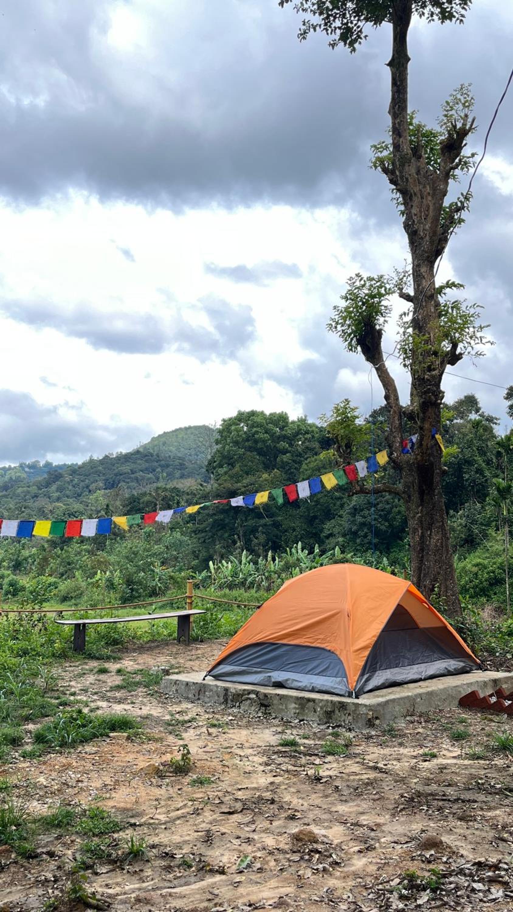 Tent photo 3