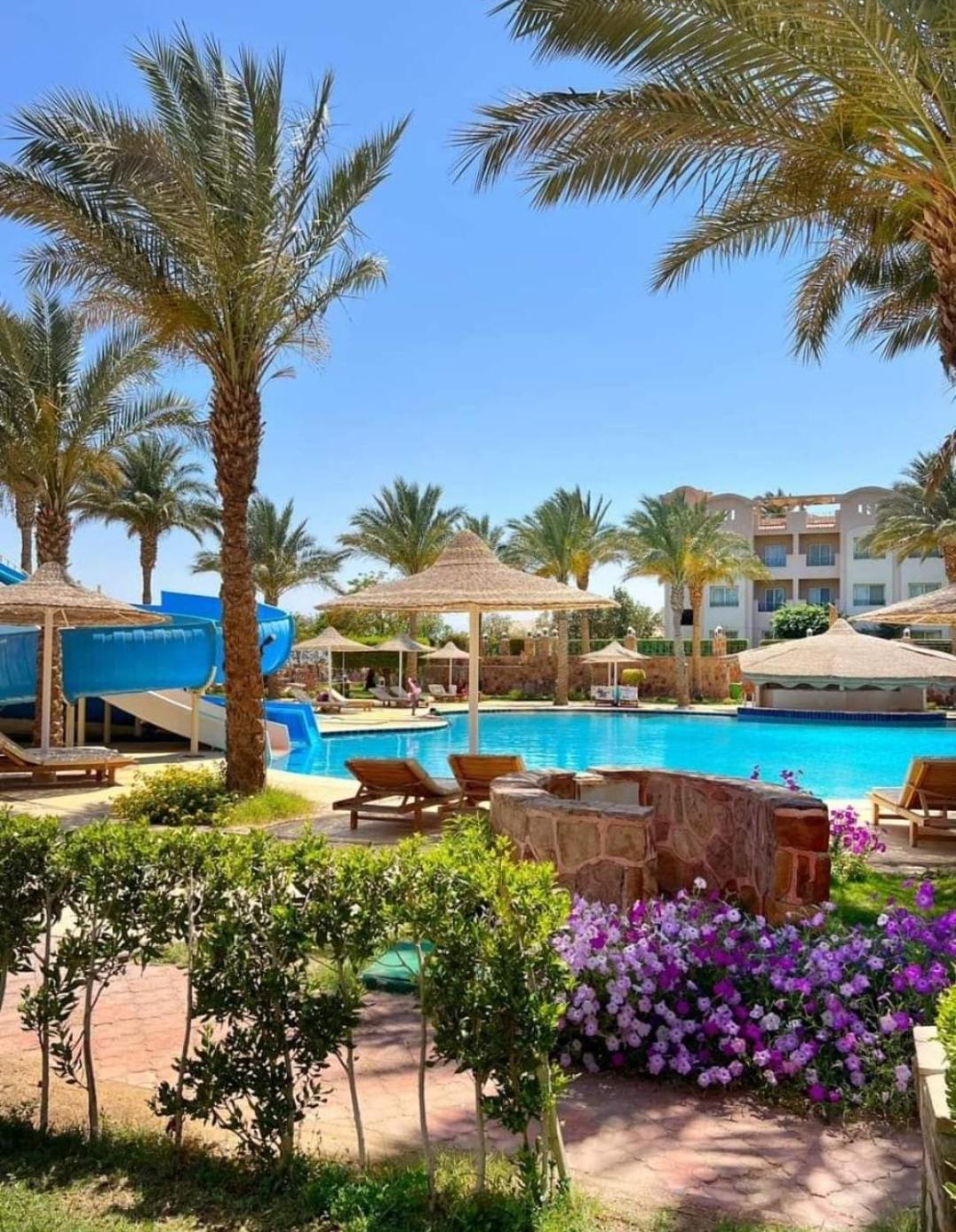 One-Bedroom Apartment with Pool View