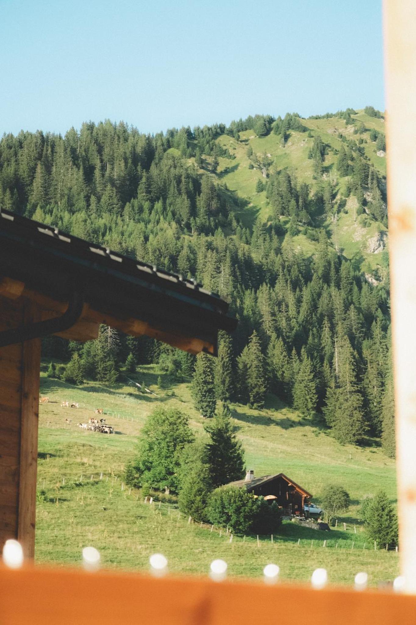 Chalet photo 2