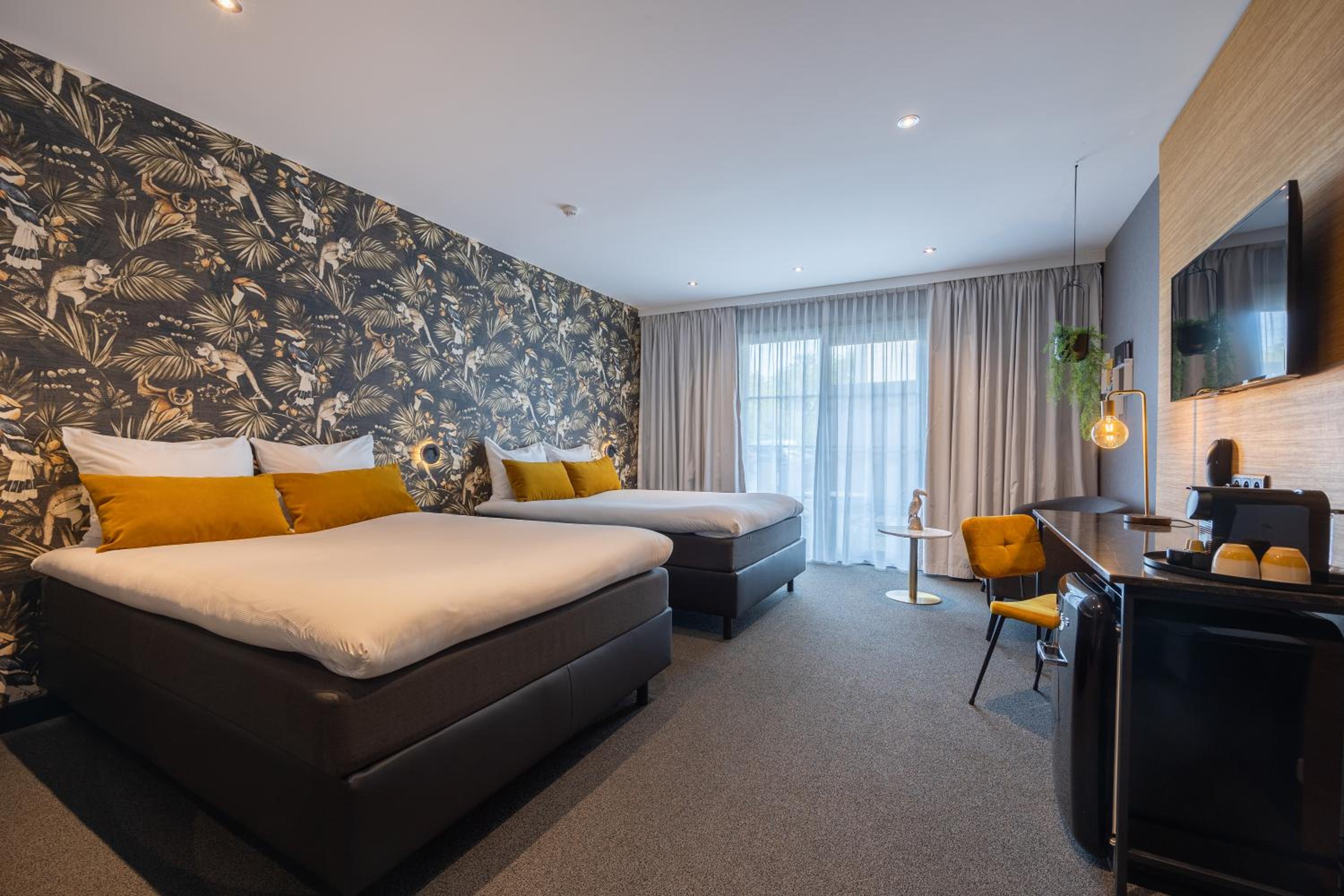 Deluxe Twin Room photo 1