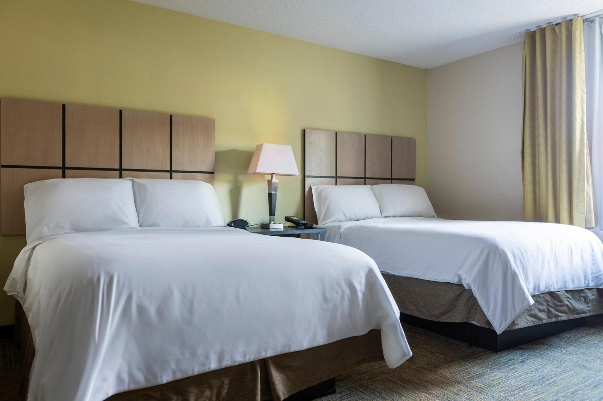 Studio Suite with Two Double Beds - Photo 4