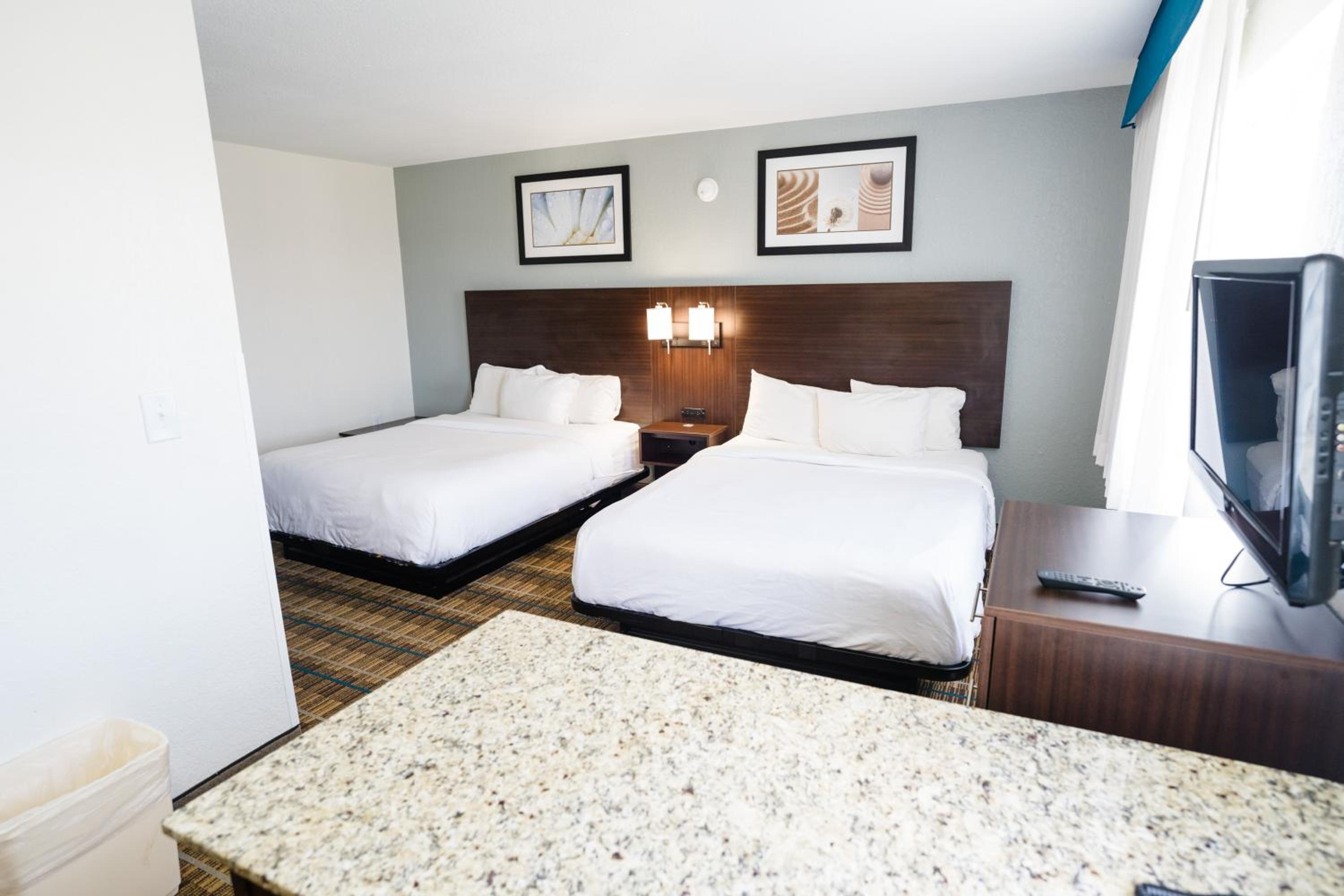 Suite - Disability Access/Non-Smoking - Photo 1