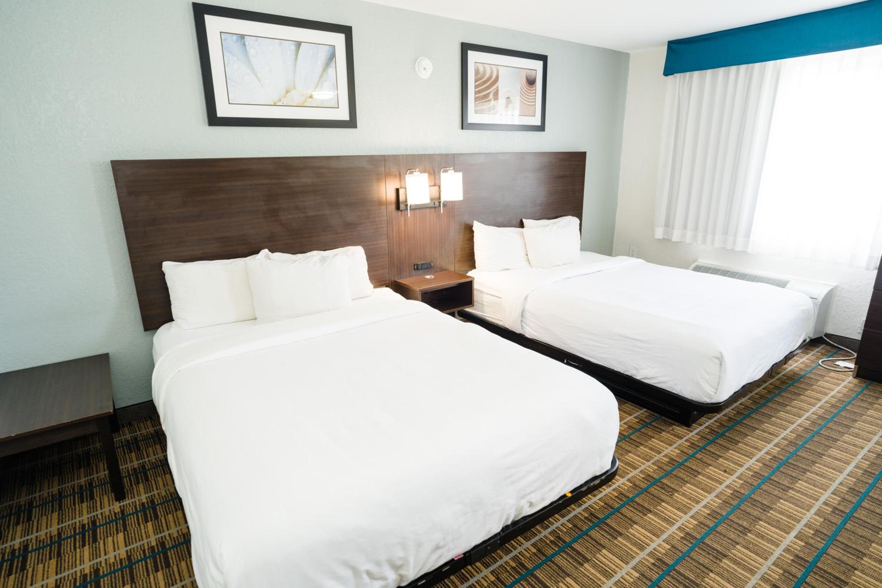 Suite - Disability Access/Non-Smoking - Photo 4