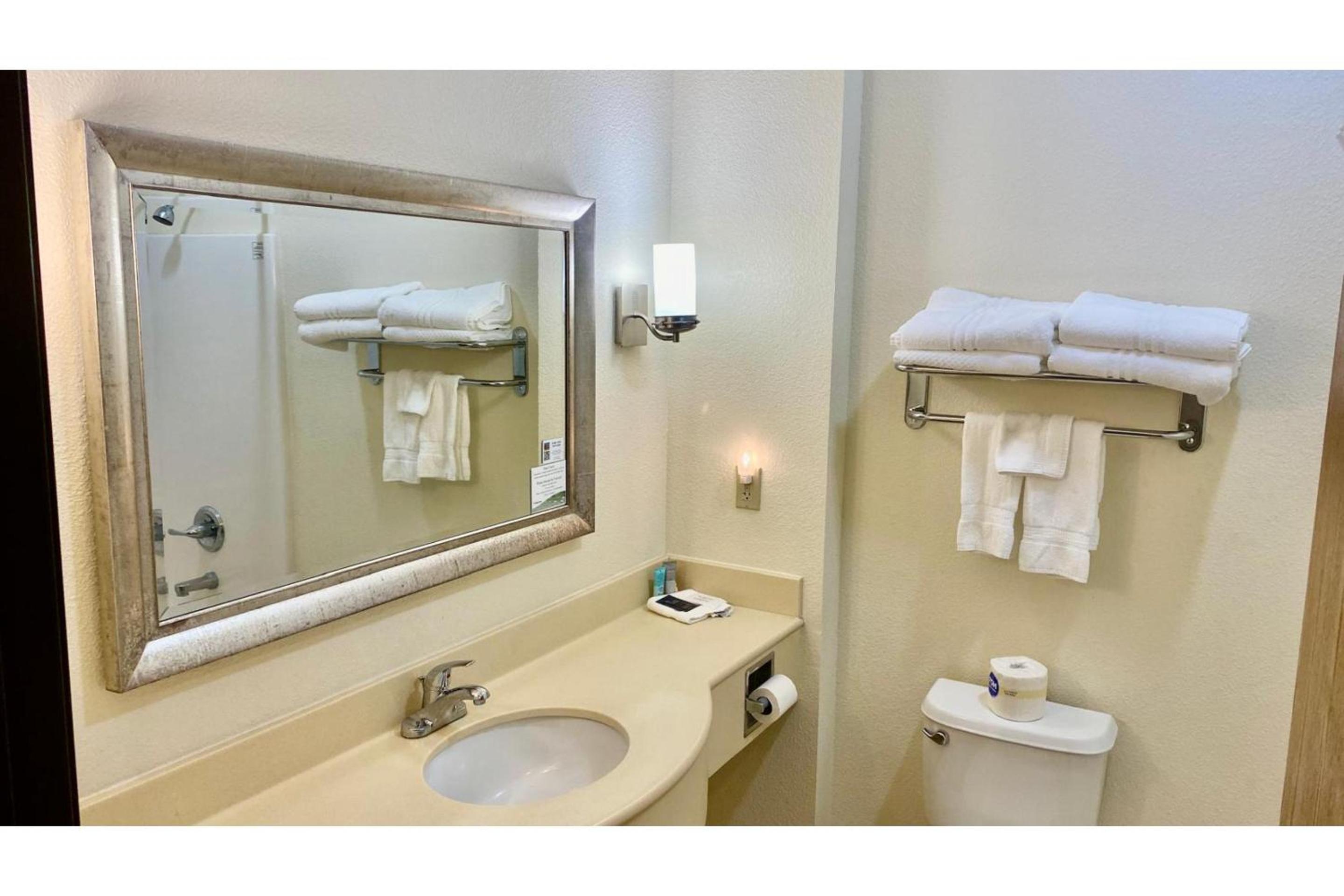 1 Suite King Bed Non-Smoking Jacuzzi Tub photo 3