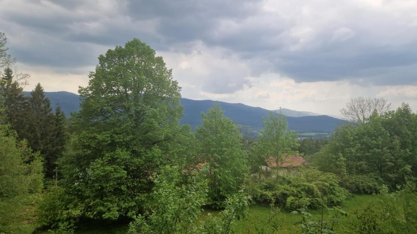 Single Room with Balcony photo 3