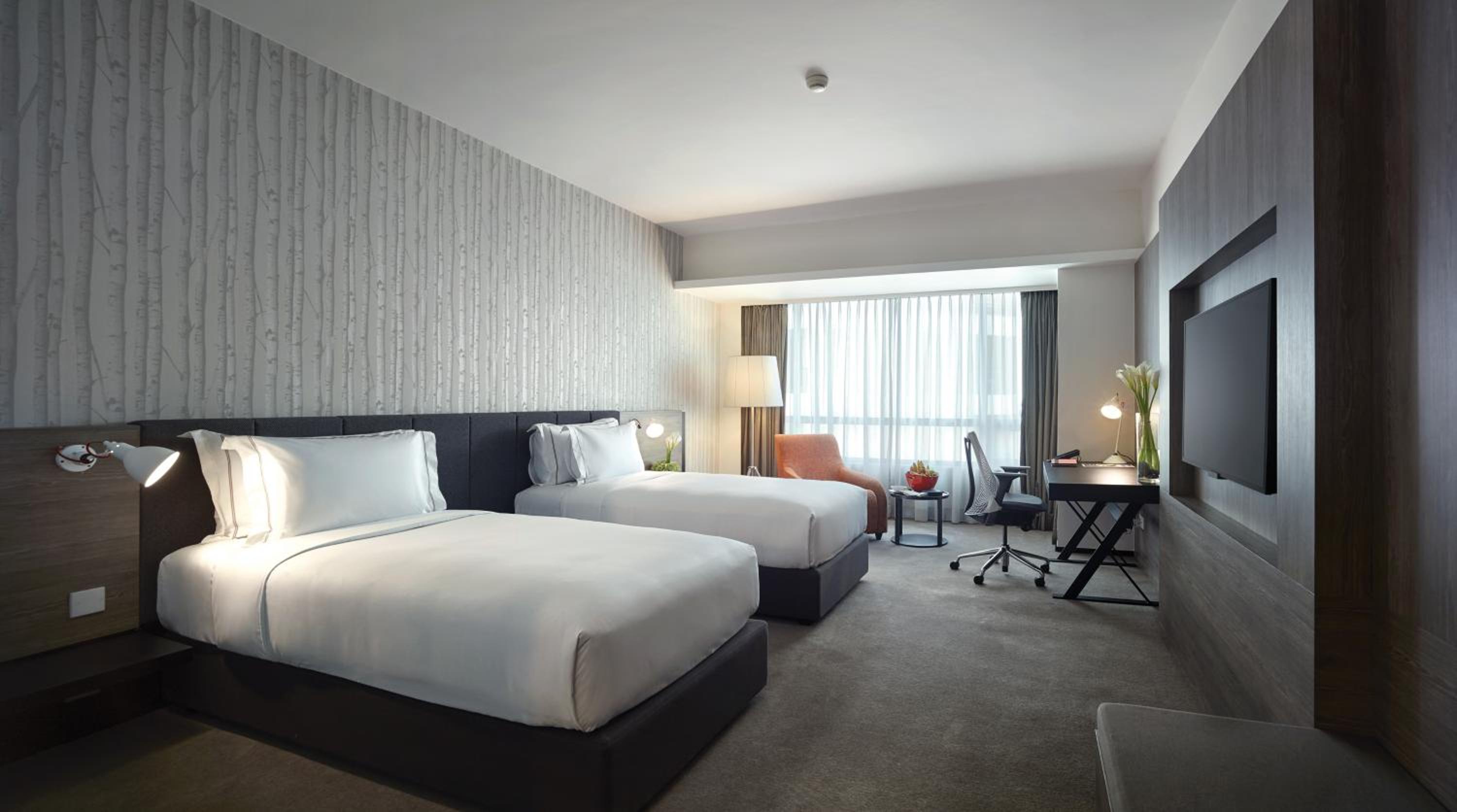 Deluxe King or Twin Room photo 3