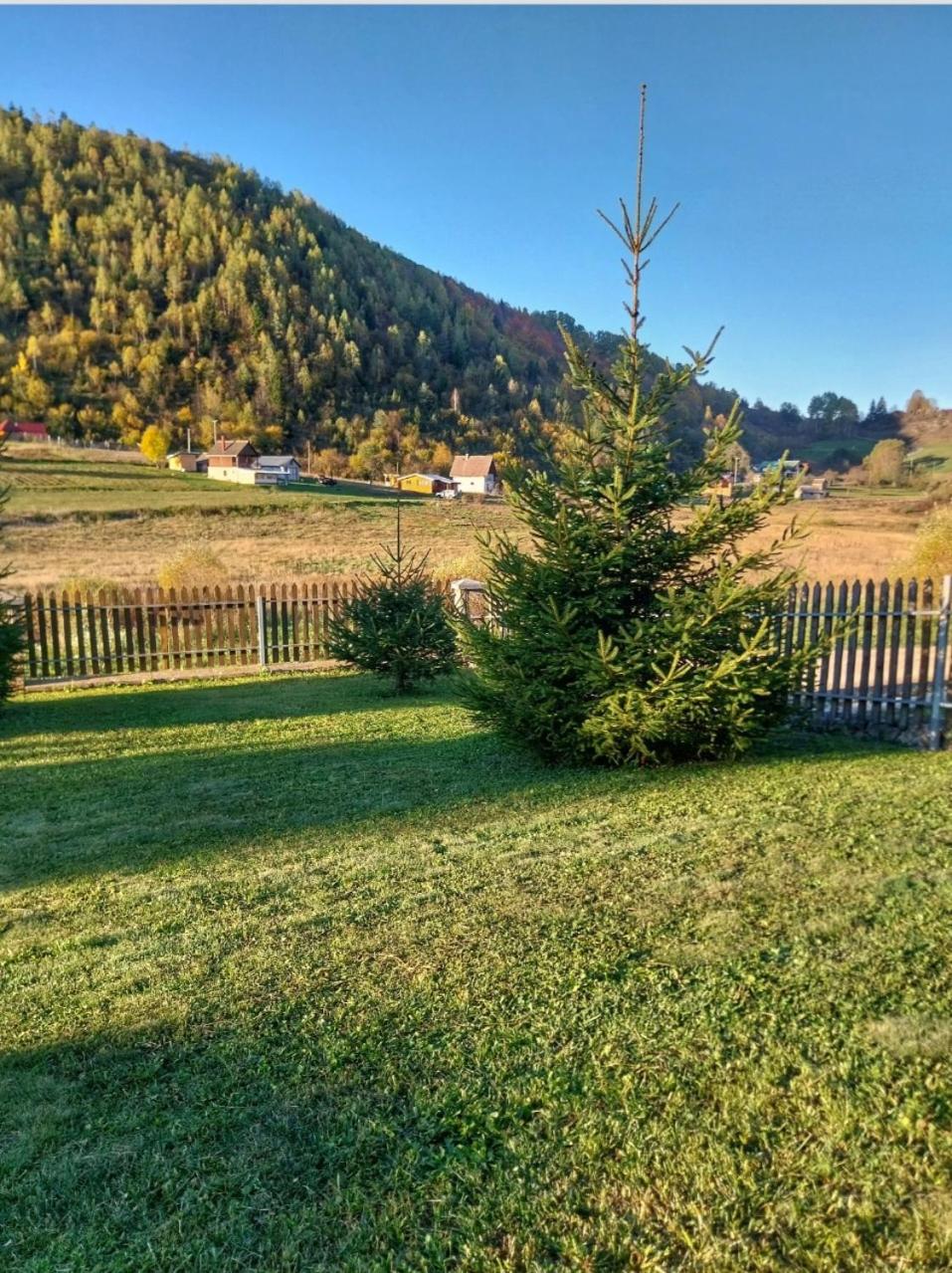 Vacation Home photo 2
