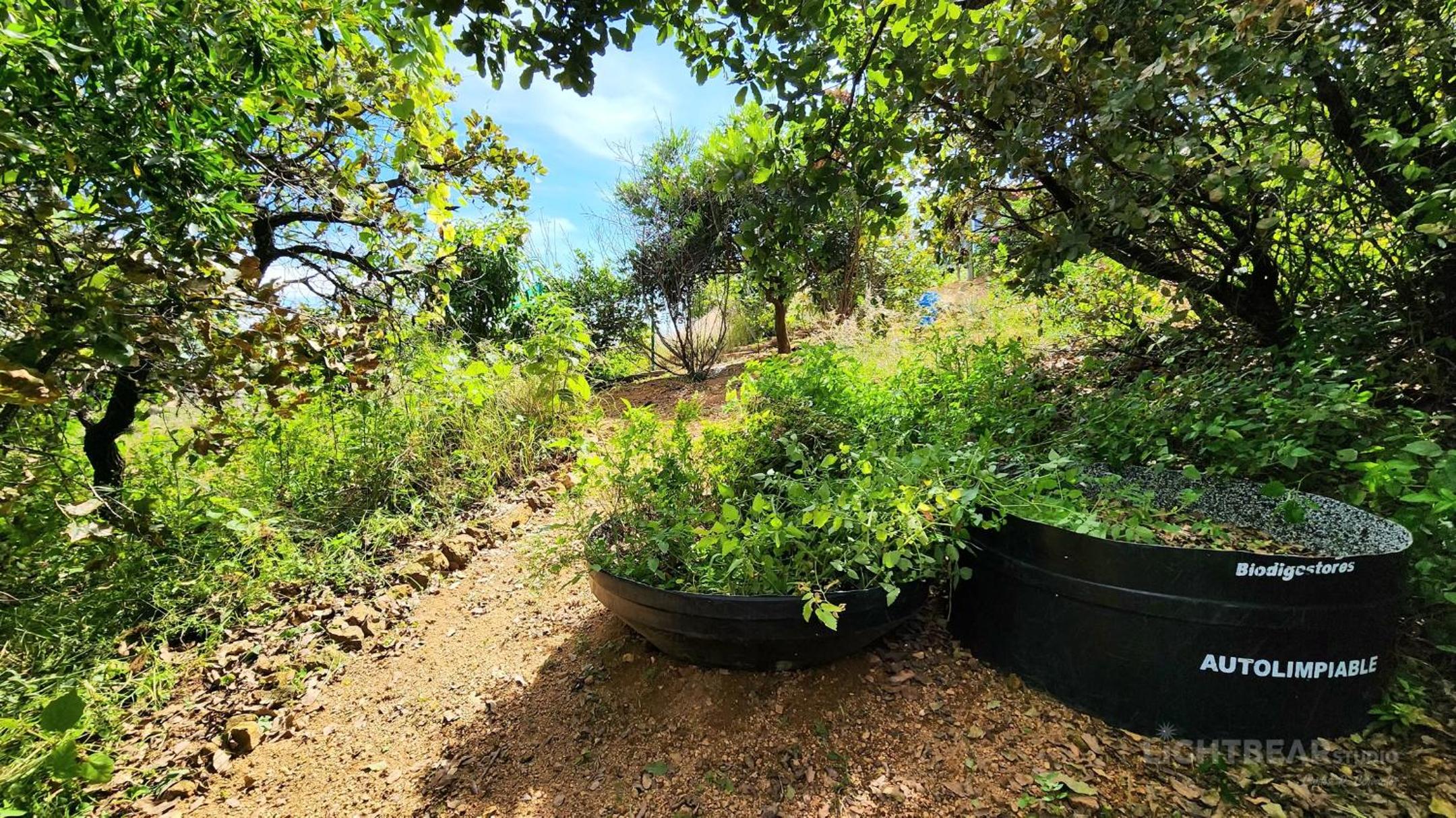 Superior Villa - Photo 12