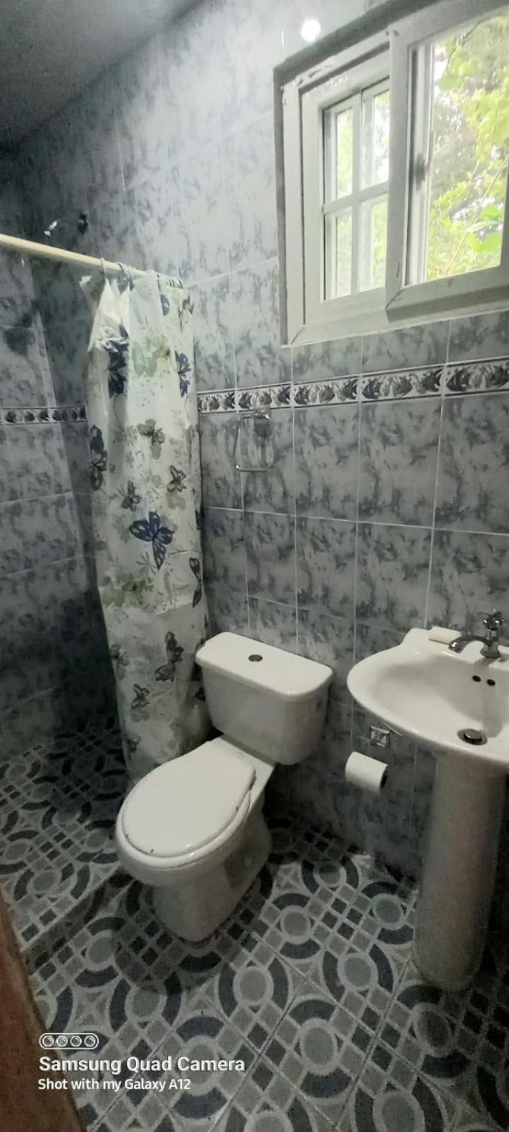 Standard Twin Room photo 3