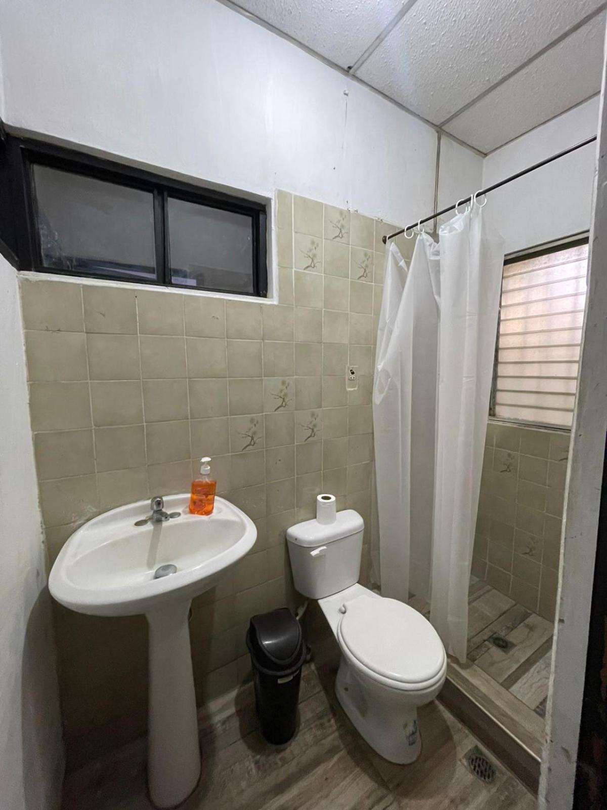 Single Bed in Mixed Dormitory Room photo 1