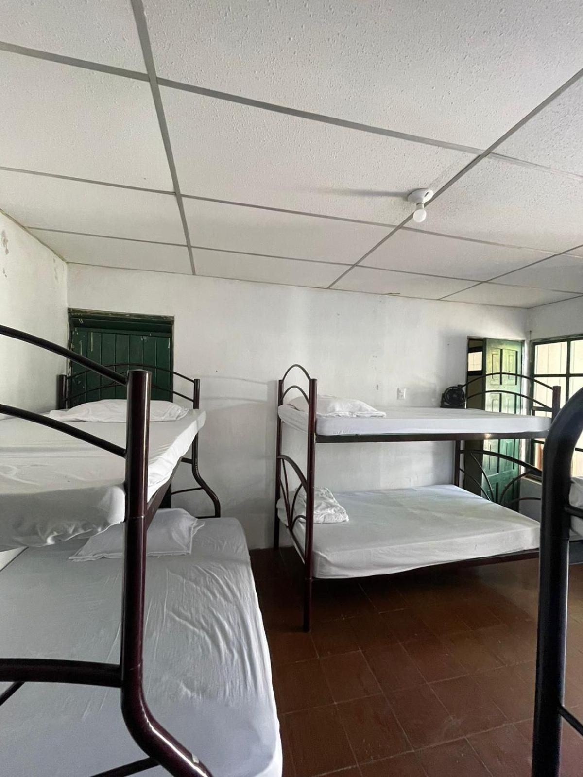 Single Bed in Mixed Dormitory Room photo 2