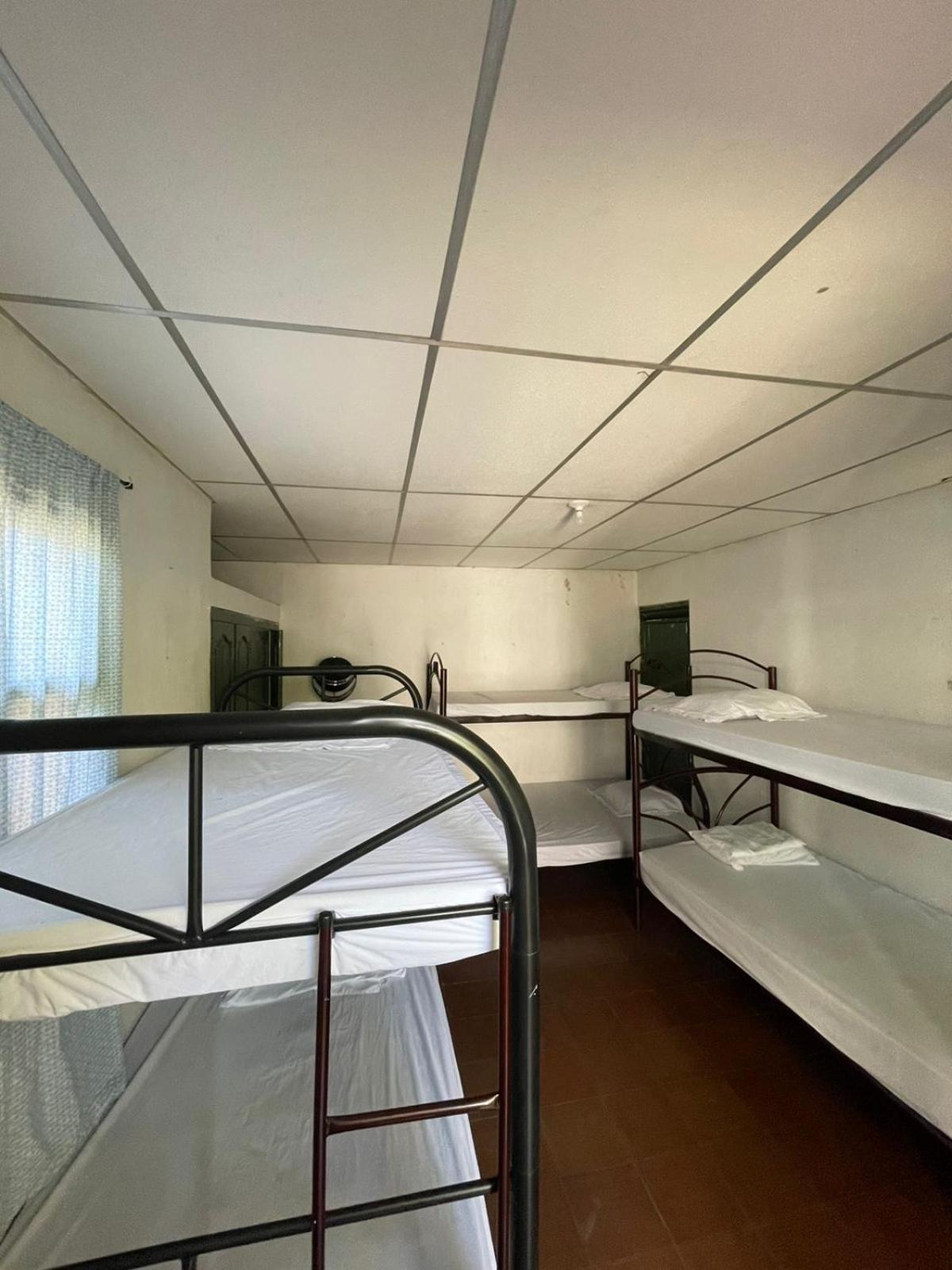 Single Bed in Mixed Dormitory Room photo 3