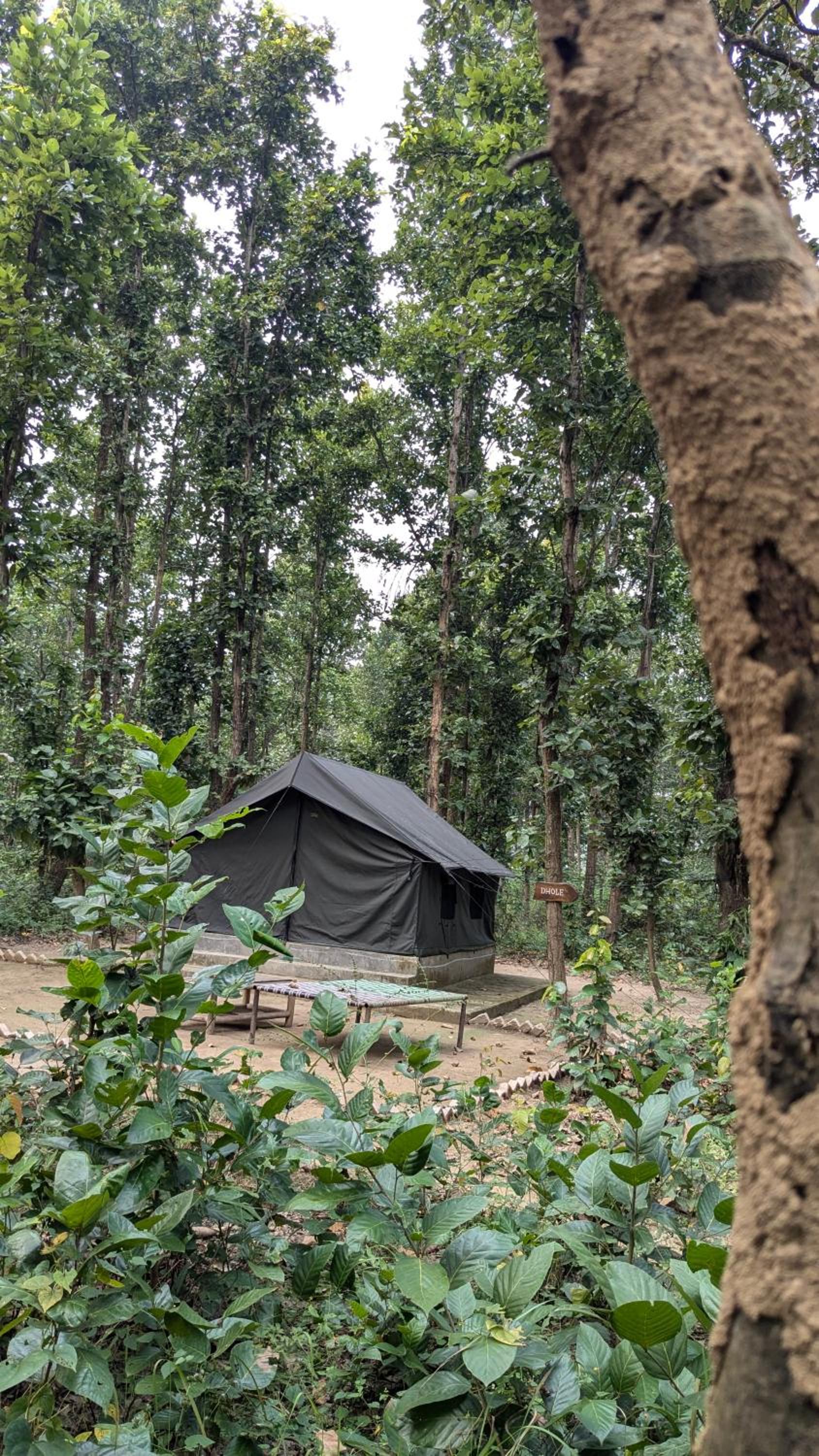 Tent photo 2
