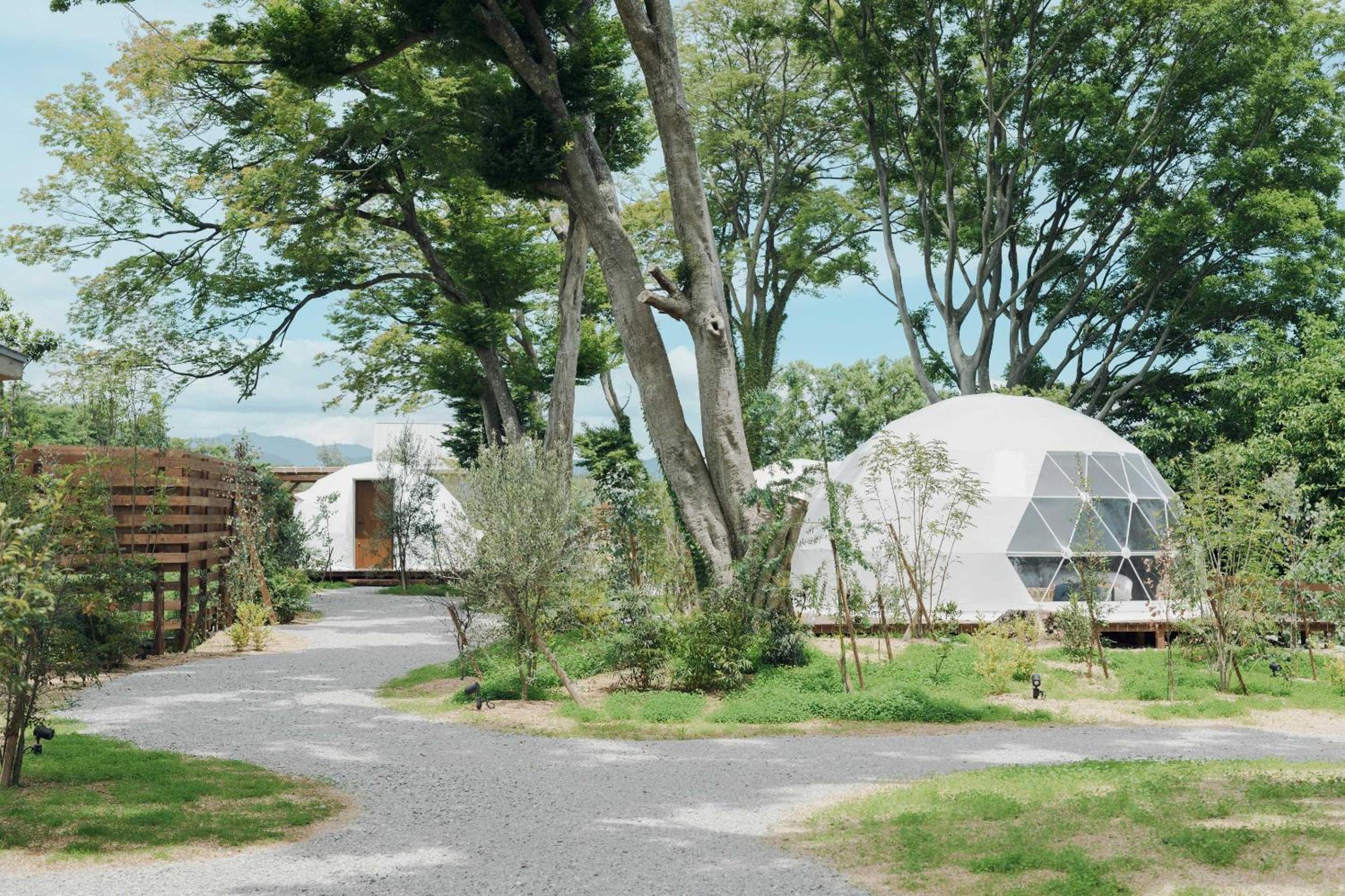 Tent photo 2