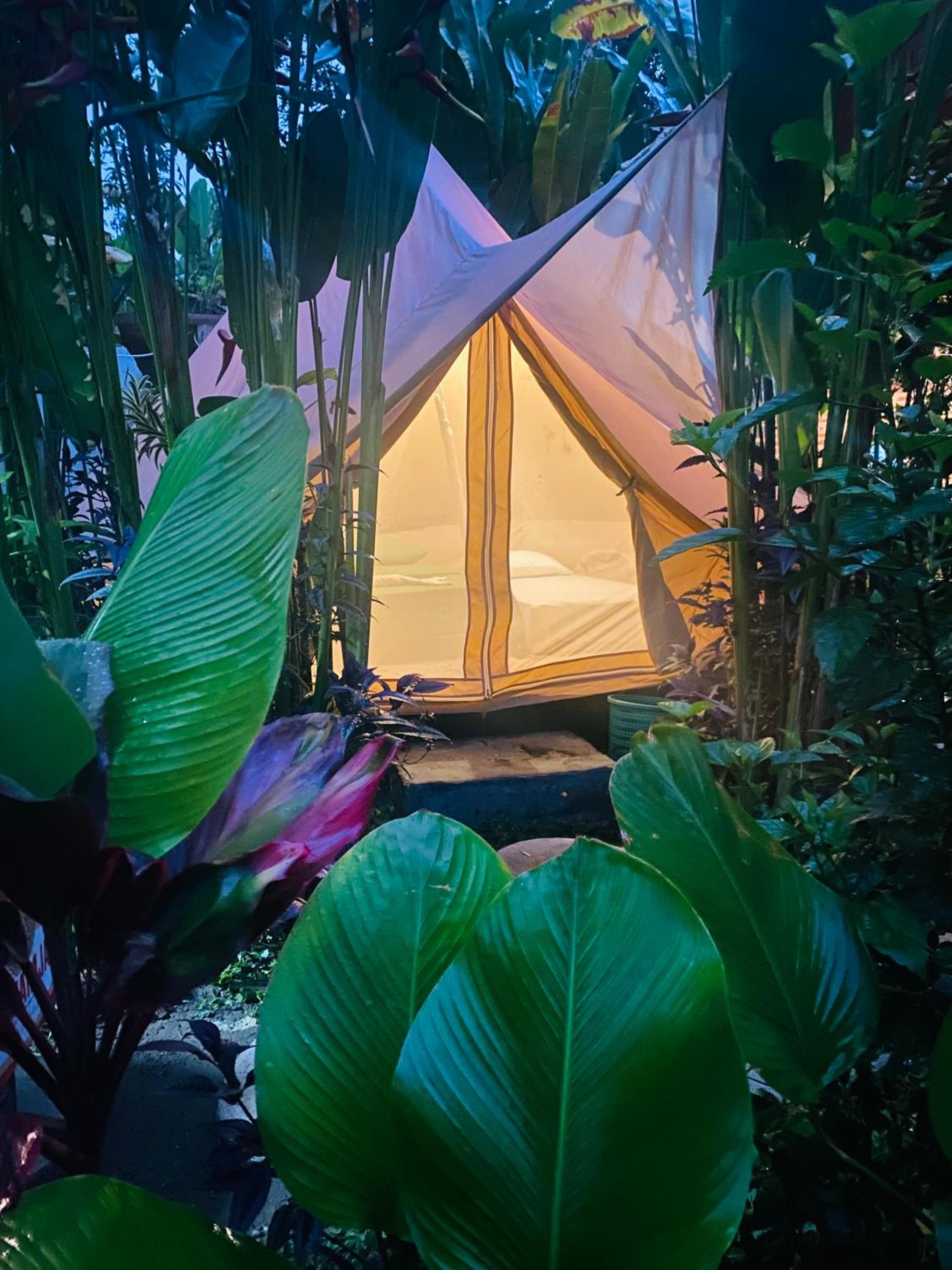 Tent photo 1