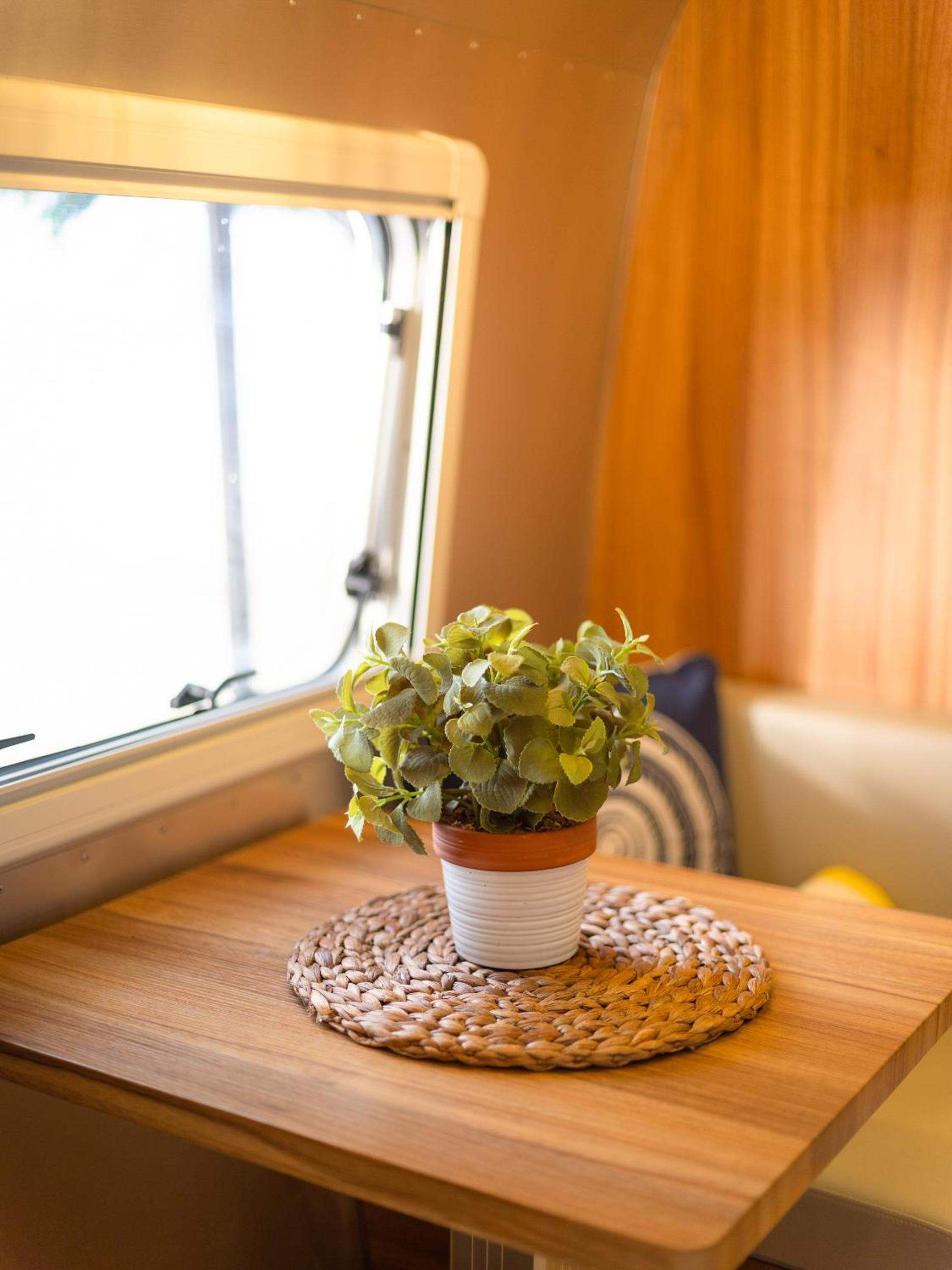 Camperisti photo 3