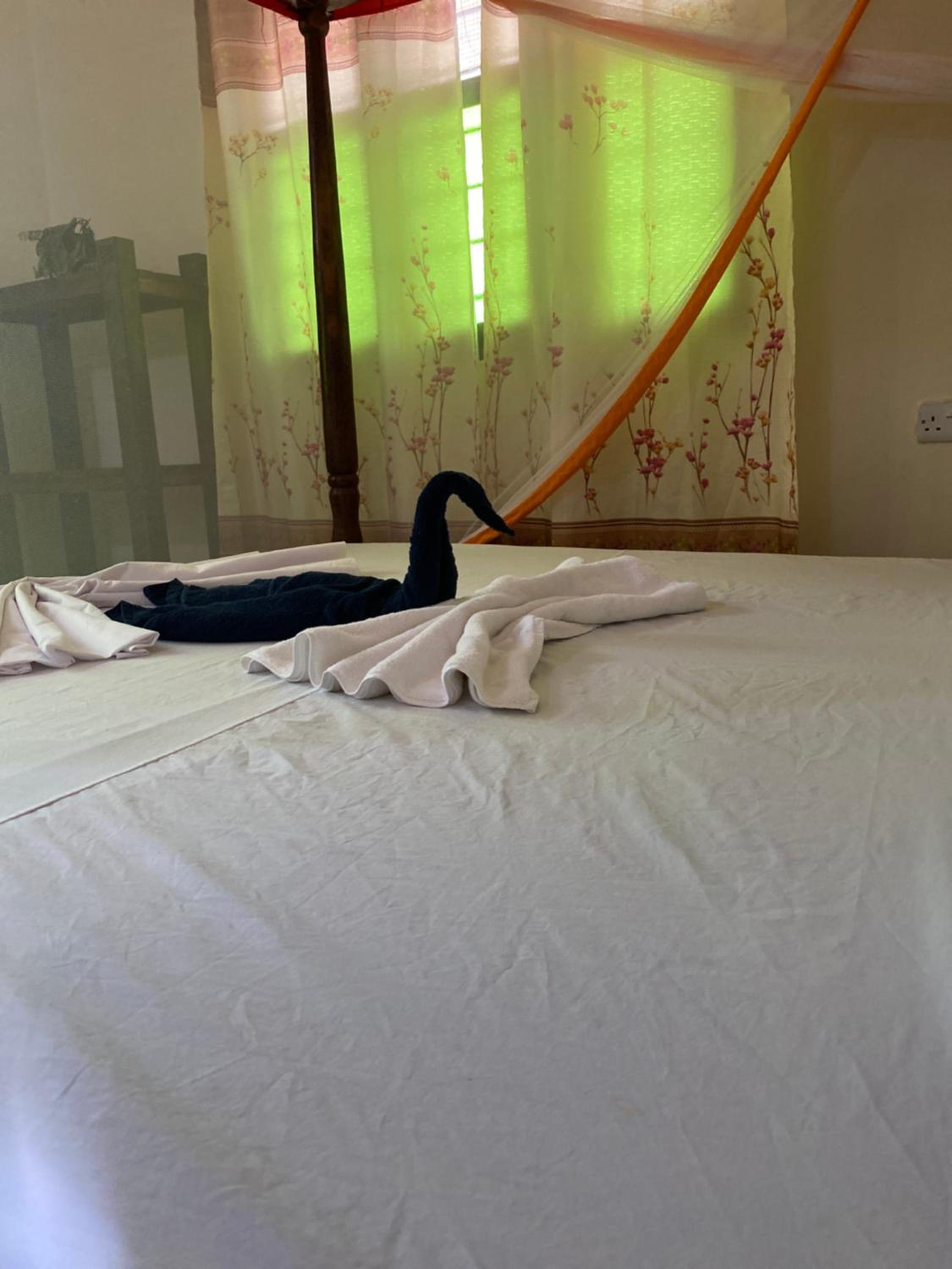 Budget Double Room photo 3