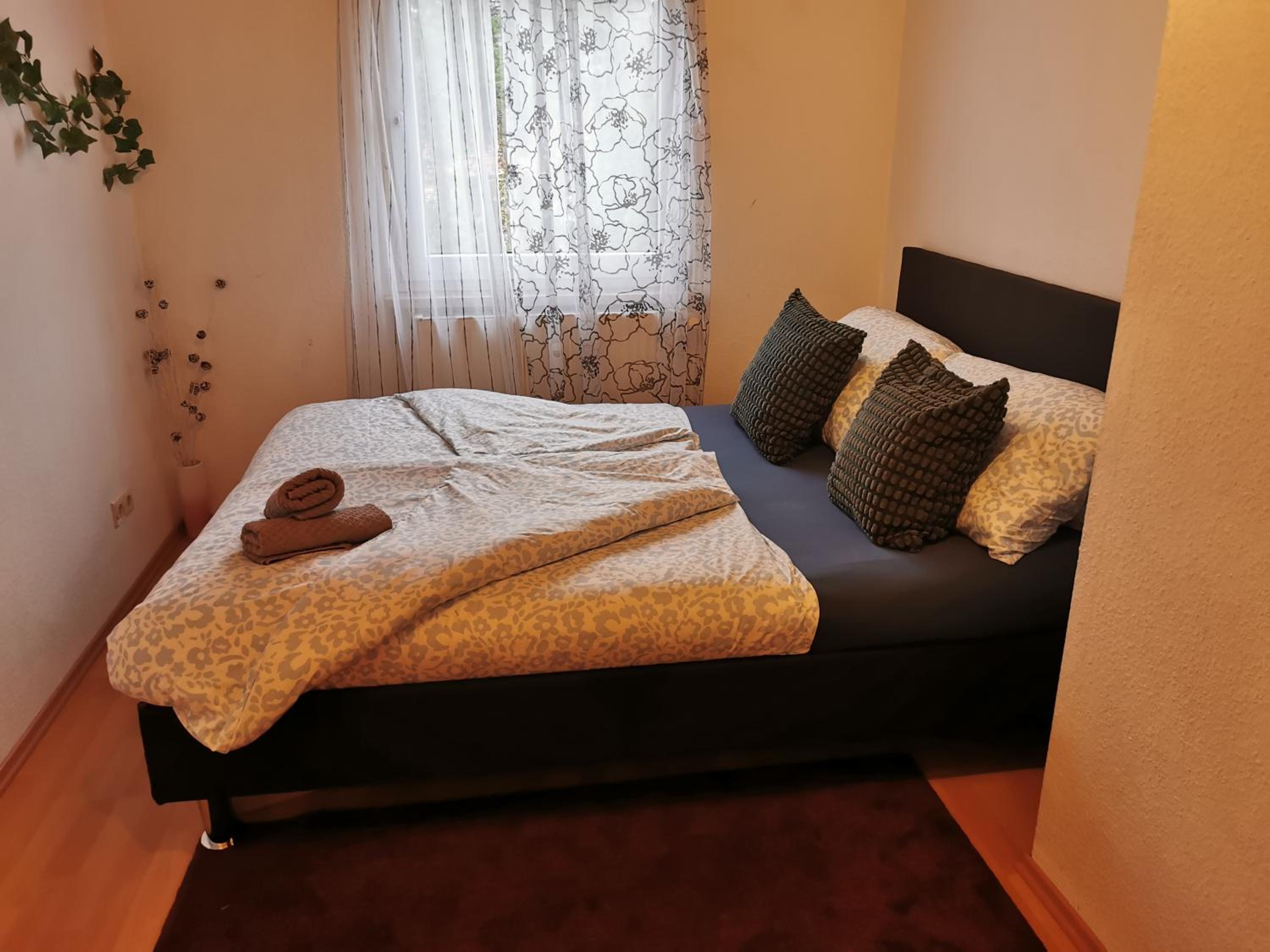 One-Bedroom Apartment photo 2