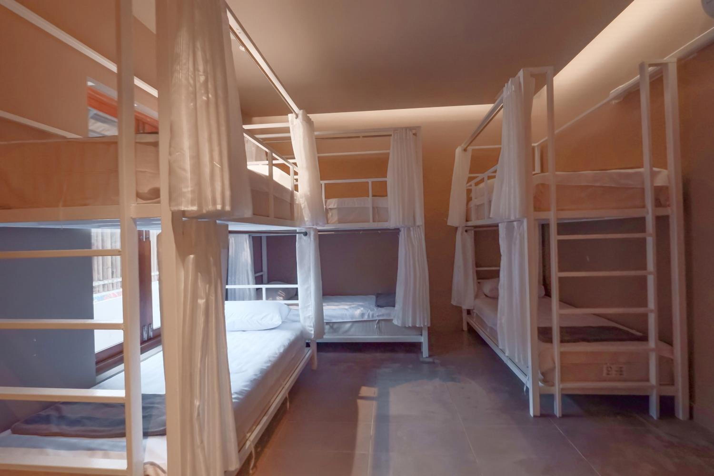 Bunk Bed in Female Dormitory Room (1 Adult) photo 3
