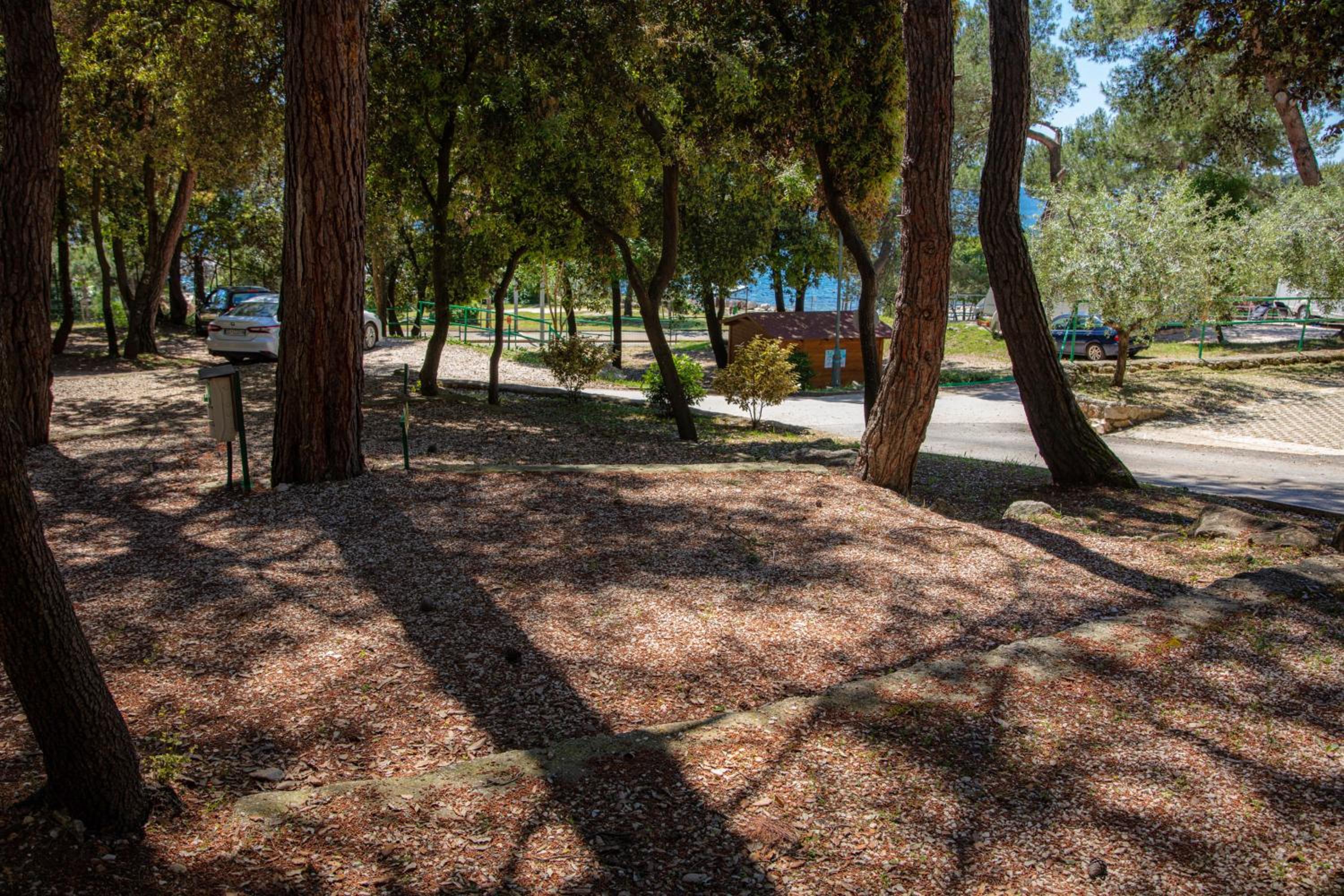 Pitch for tent – empty lot