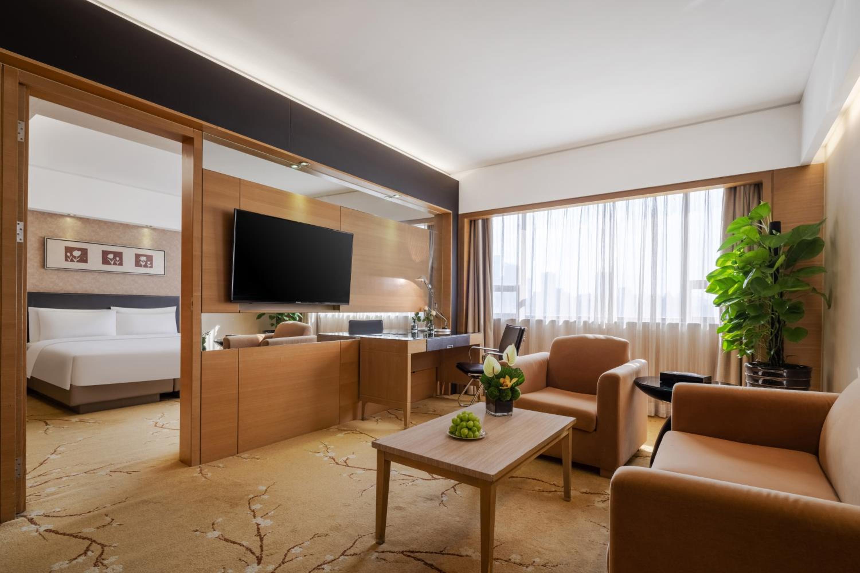 Executive Suite - Photo 2