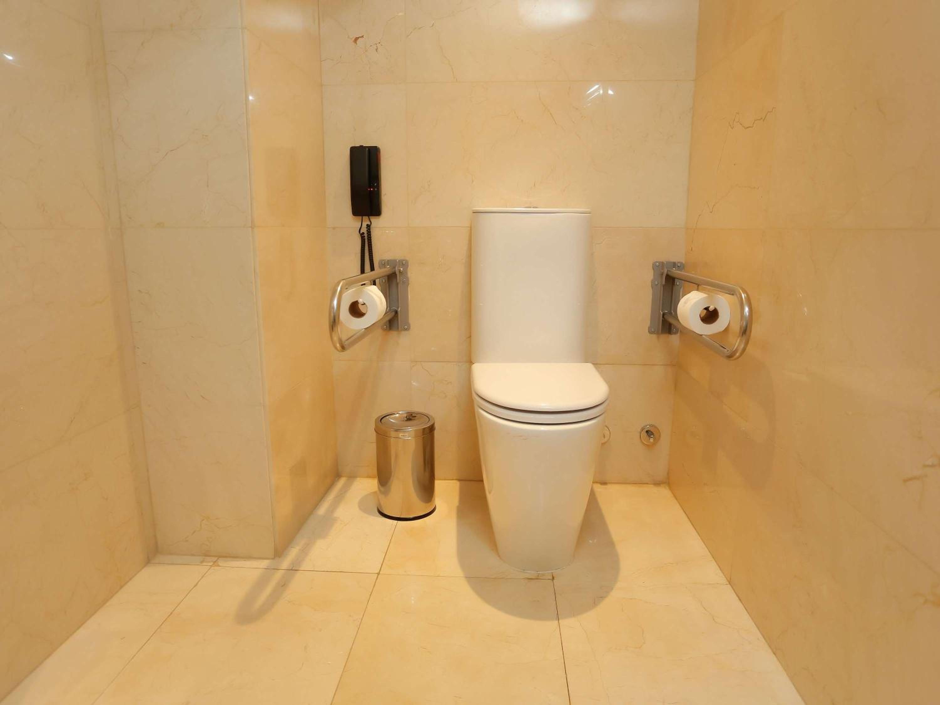 Deluxe Queen Suite with Park View - Mobility Accessible