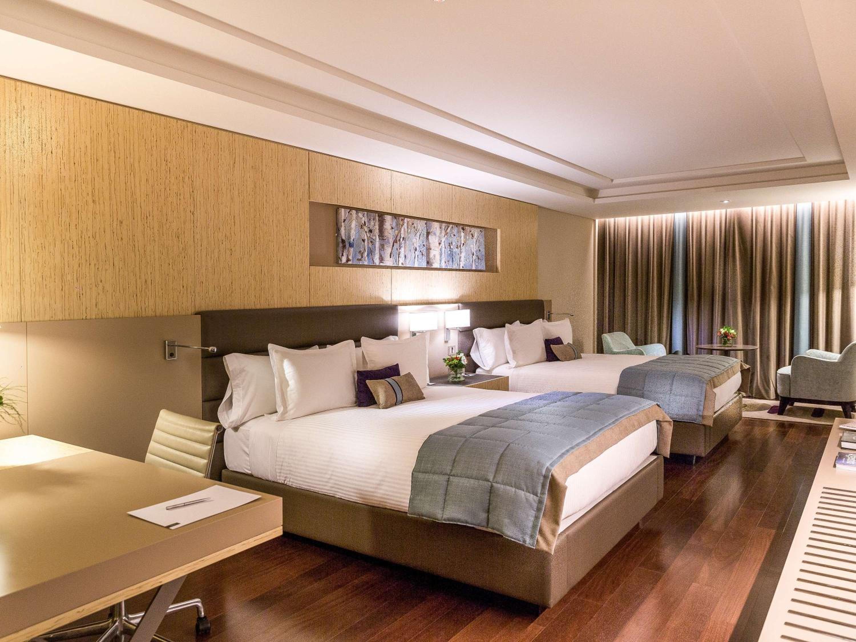 Deluxe Queen Suite with Park View - Mobility Accessible