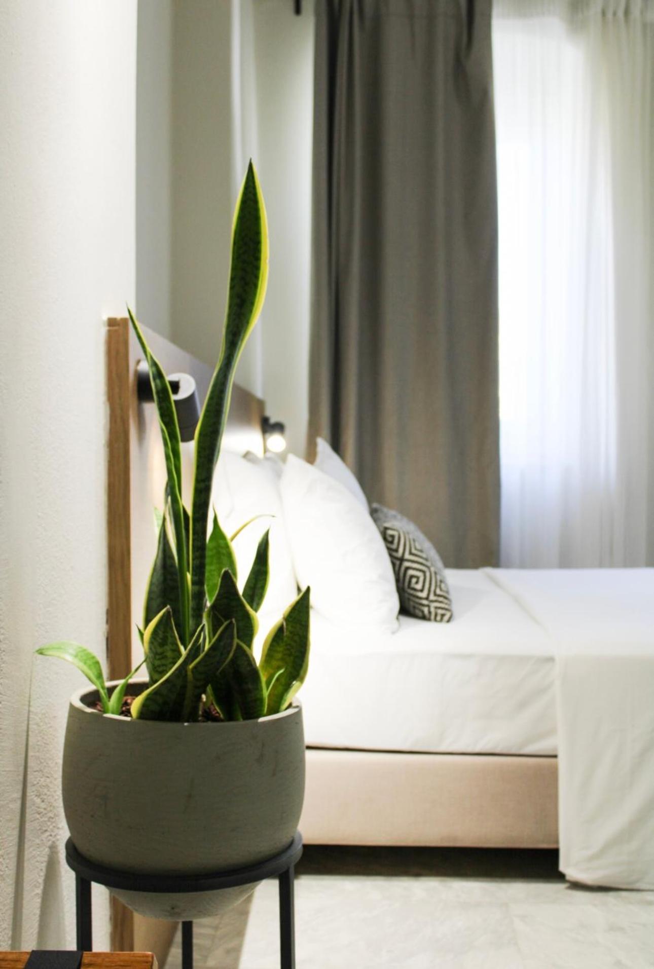 Deluxe Junior Suite - Photo 24