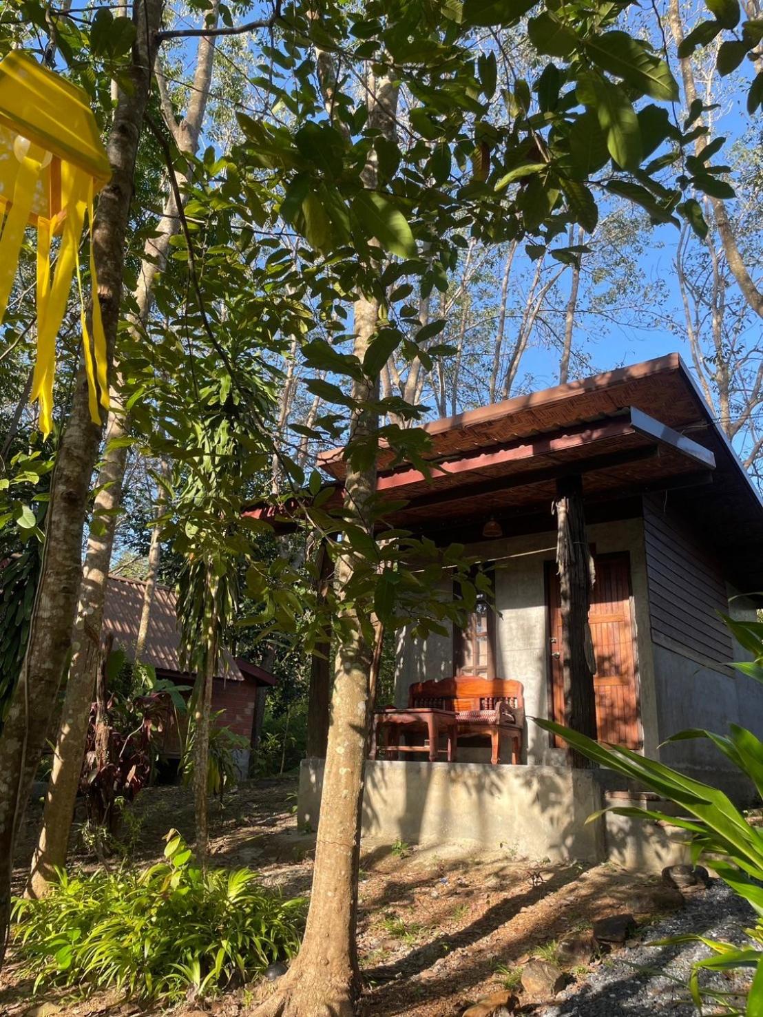 Deluxe Bungalow photo 2