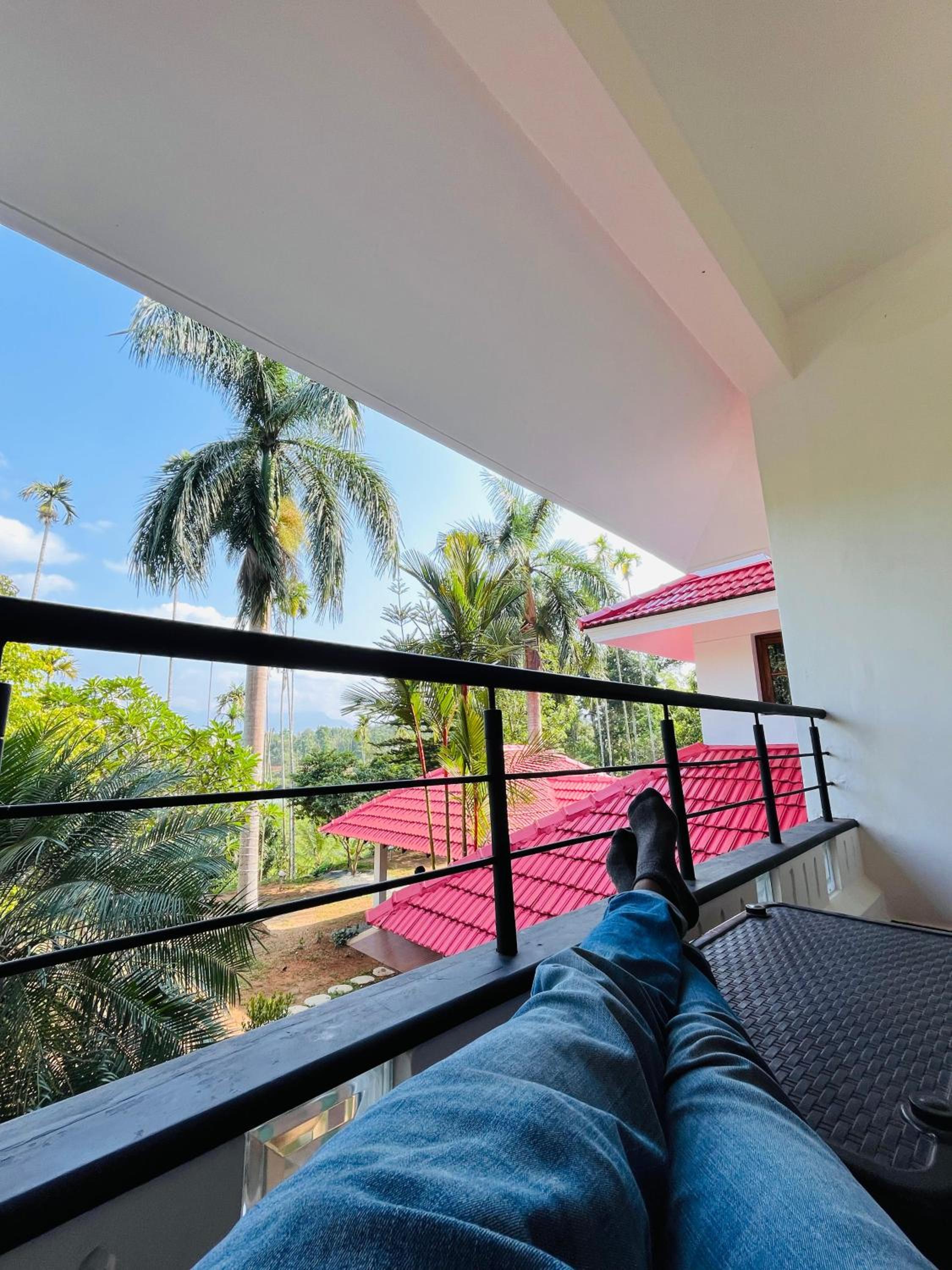 Deluxe Double Room With Balcony photo 3