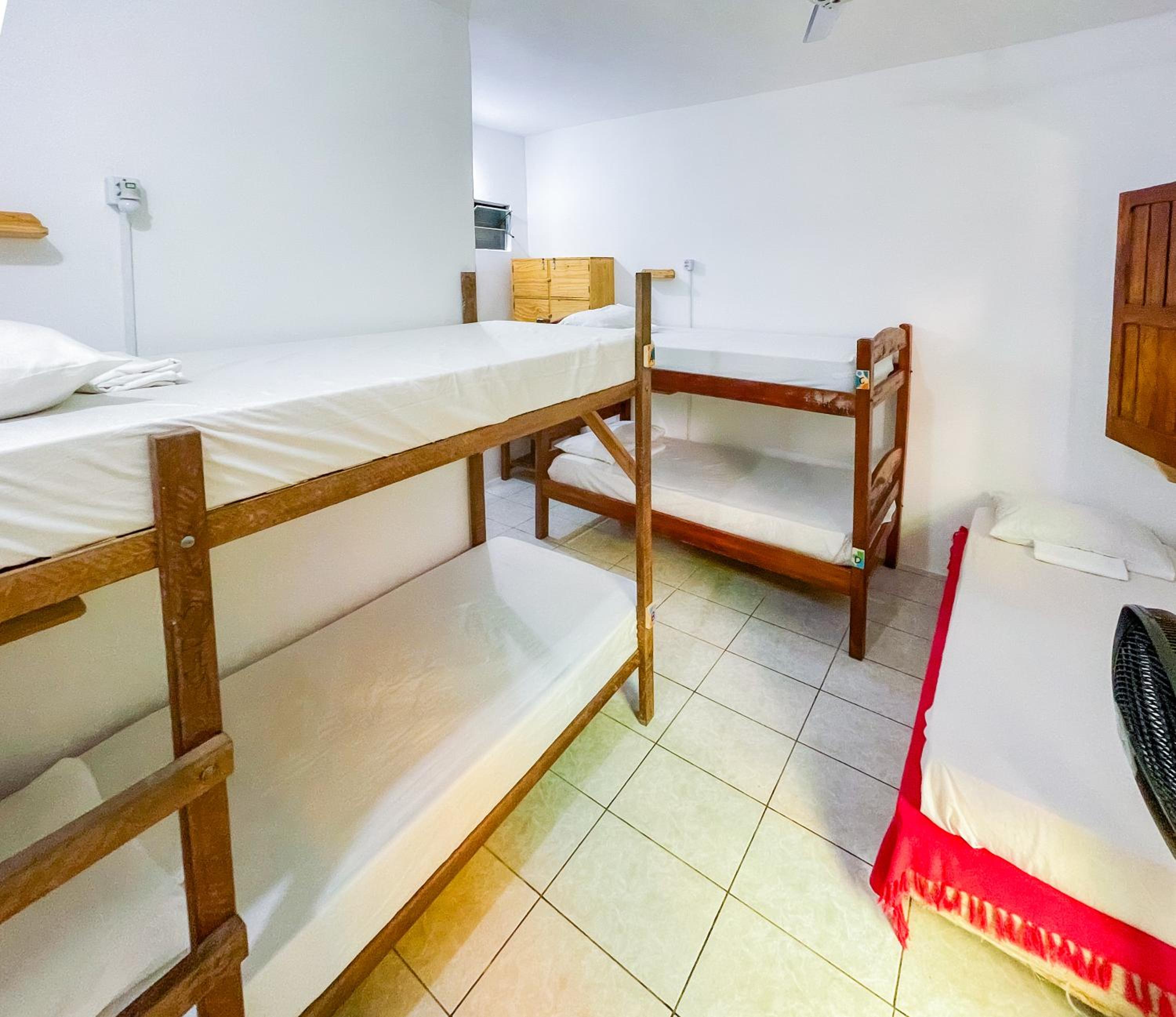 Bunk Bed in Female Dormitory Room   photo 1