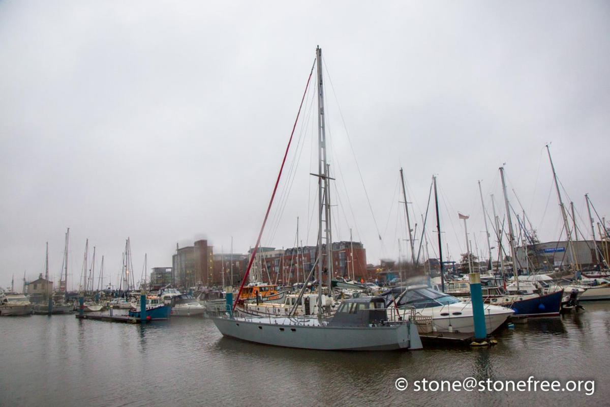 One-Bedroom Apartment photo 3