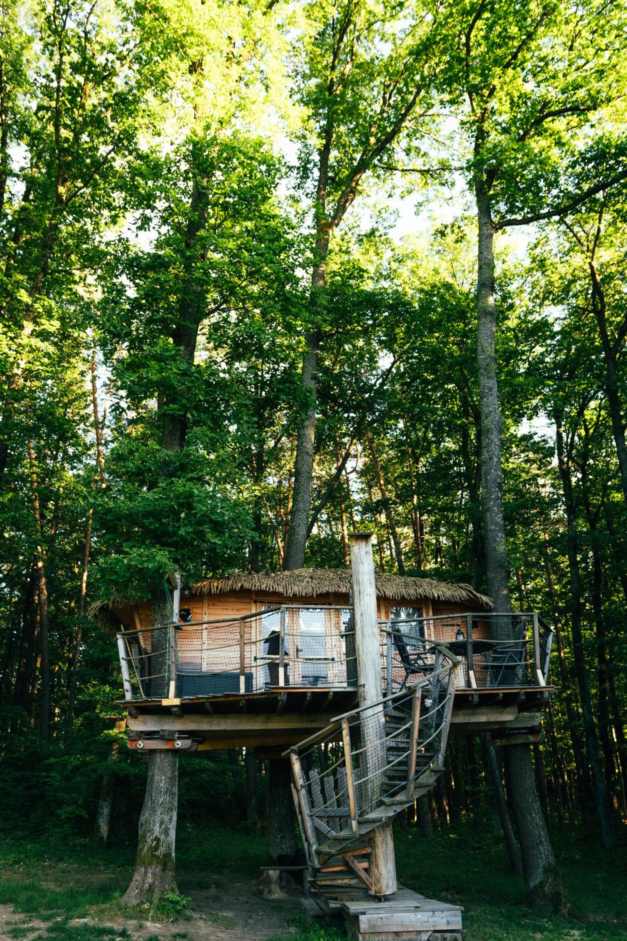 Treehouse