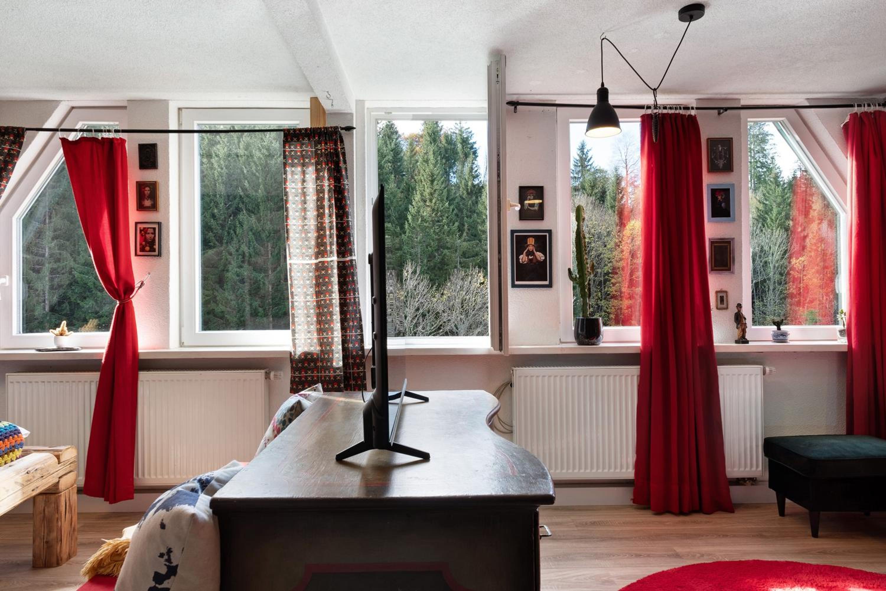 Superior One-Bedroom Apartment photo 2