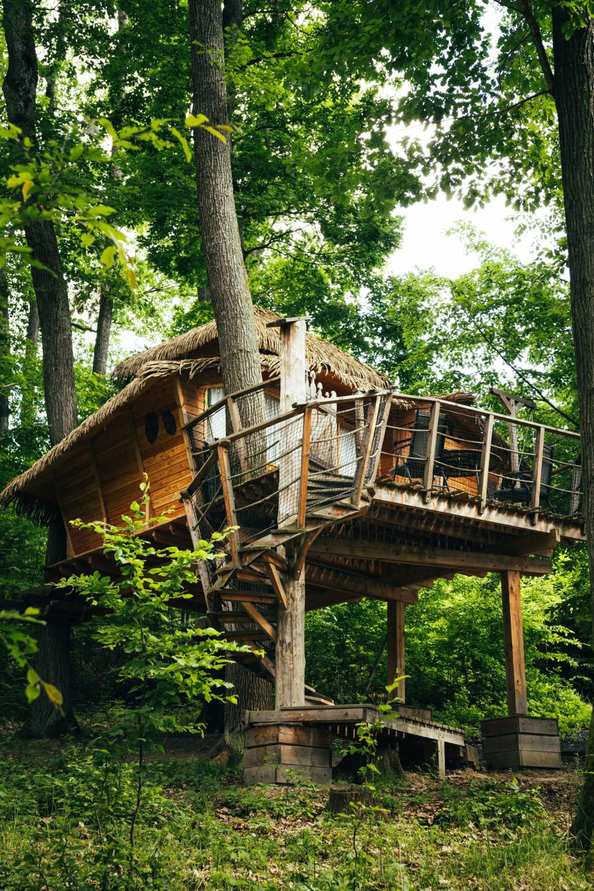 Treehouse