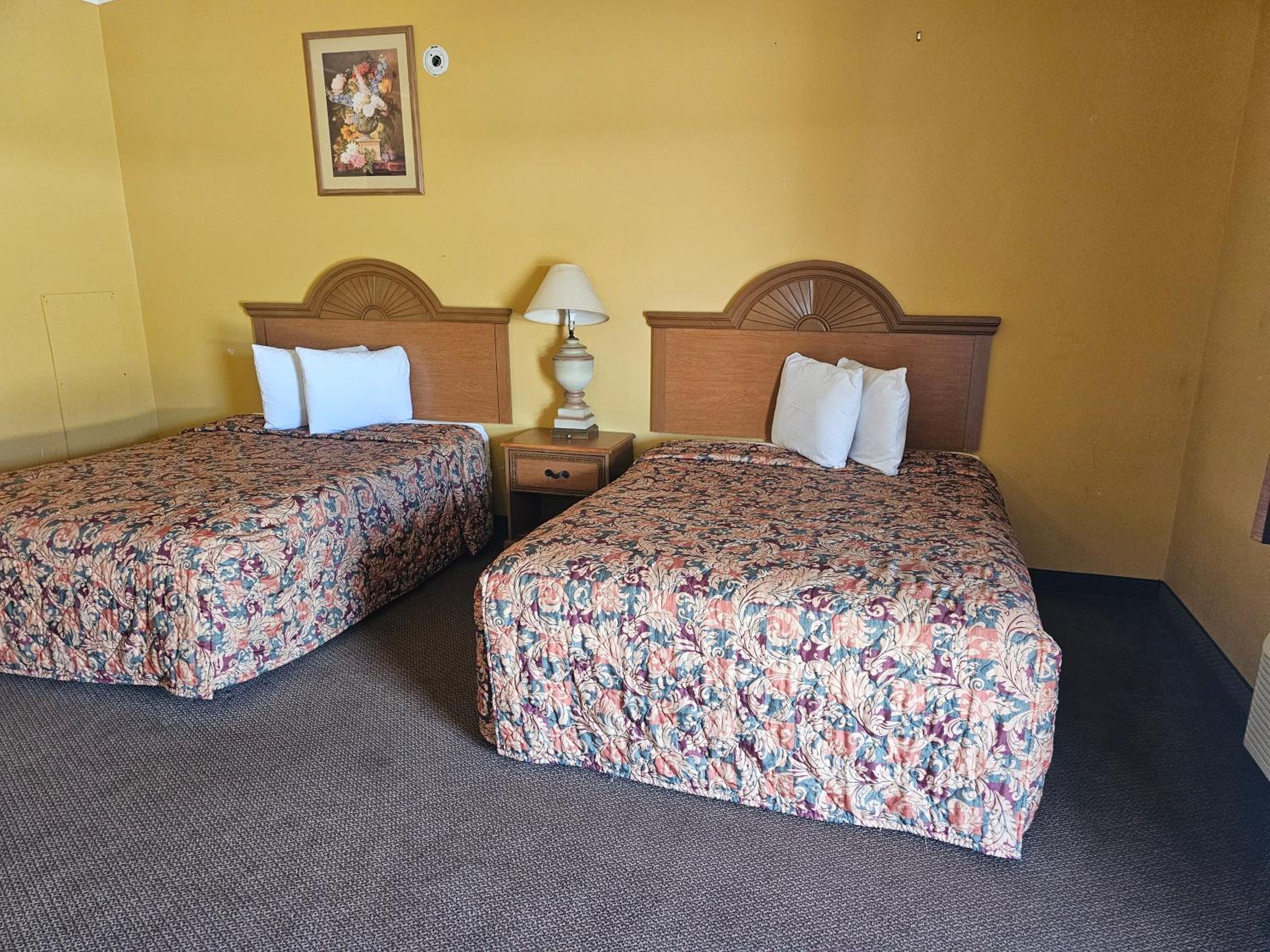 Double Room photo 1
