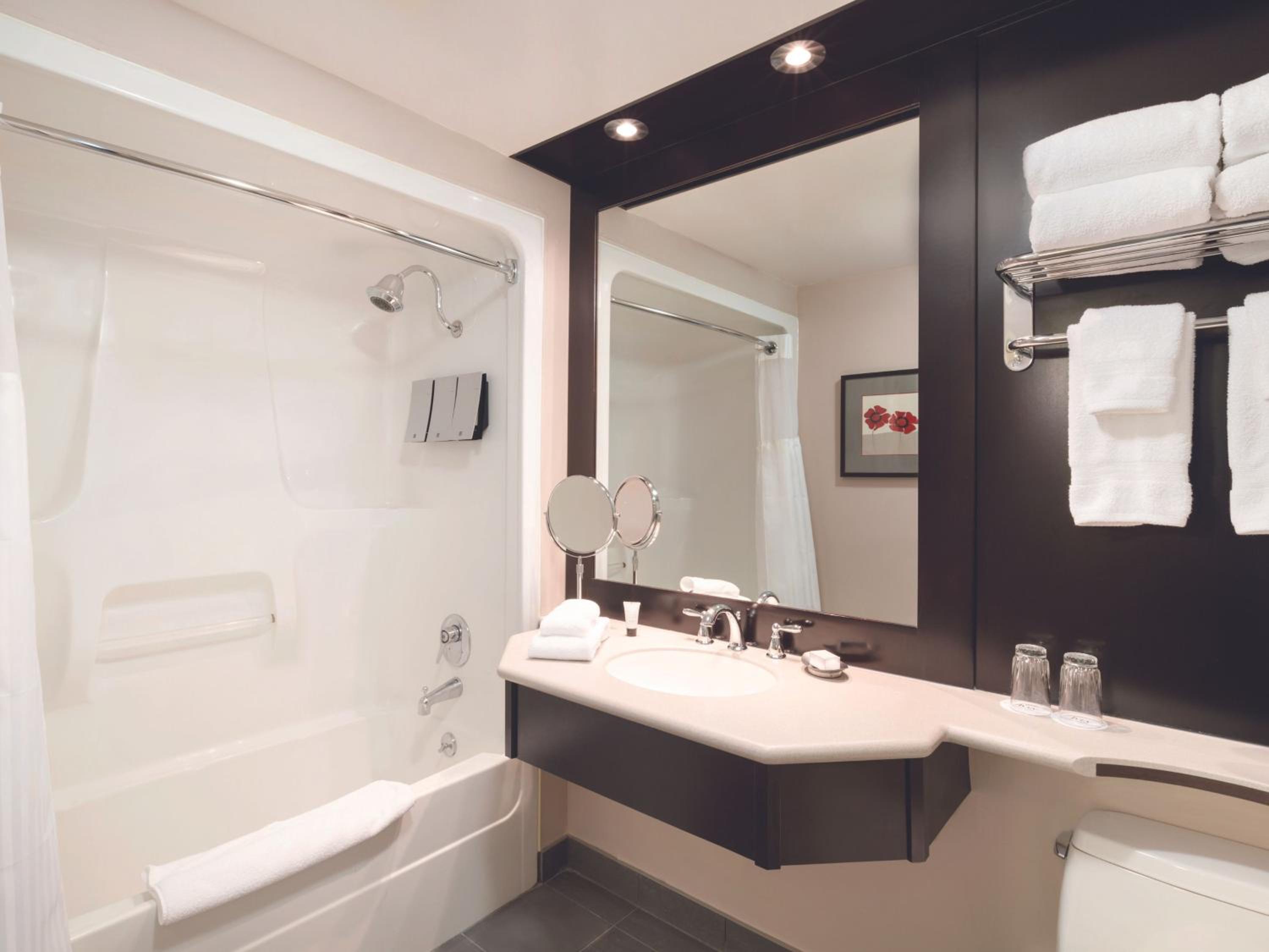 bathroom with a sink, toilet, and bathtub