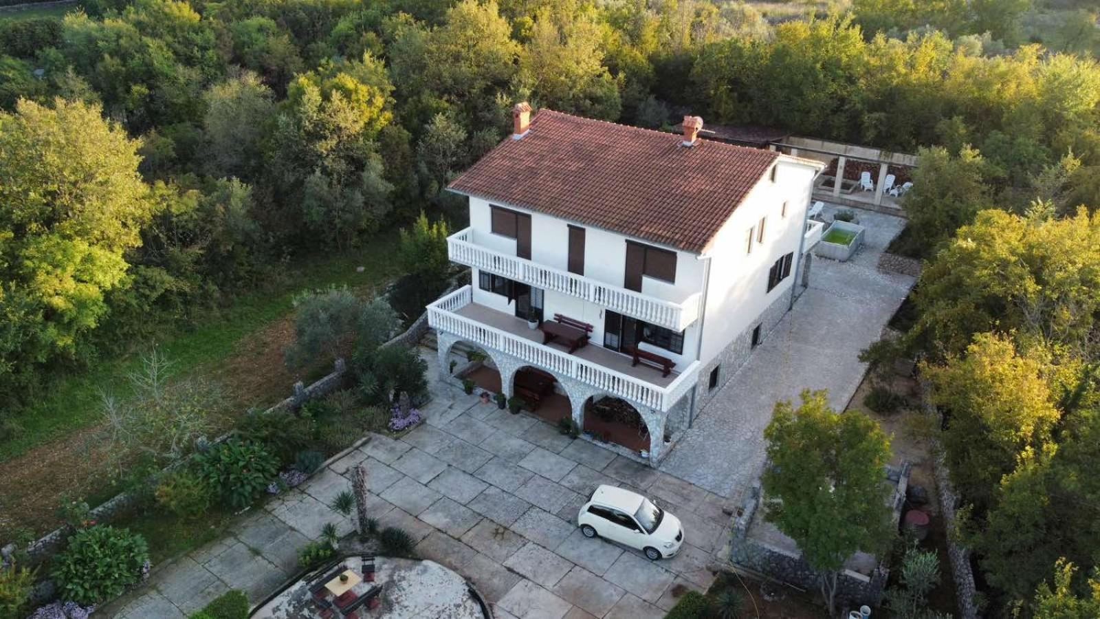 Apartment with Terrace photo 3