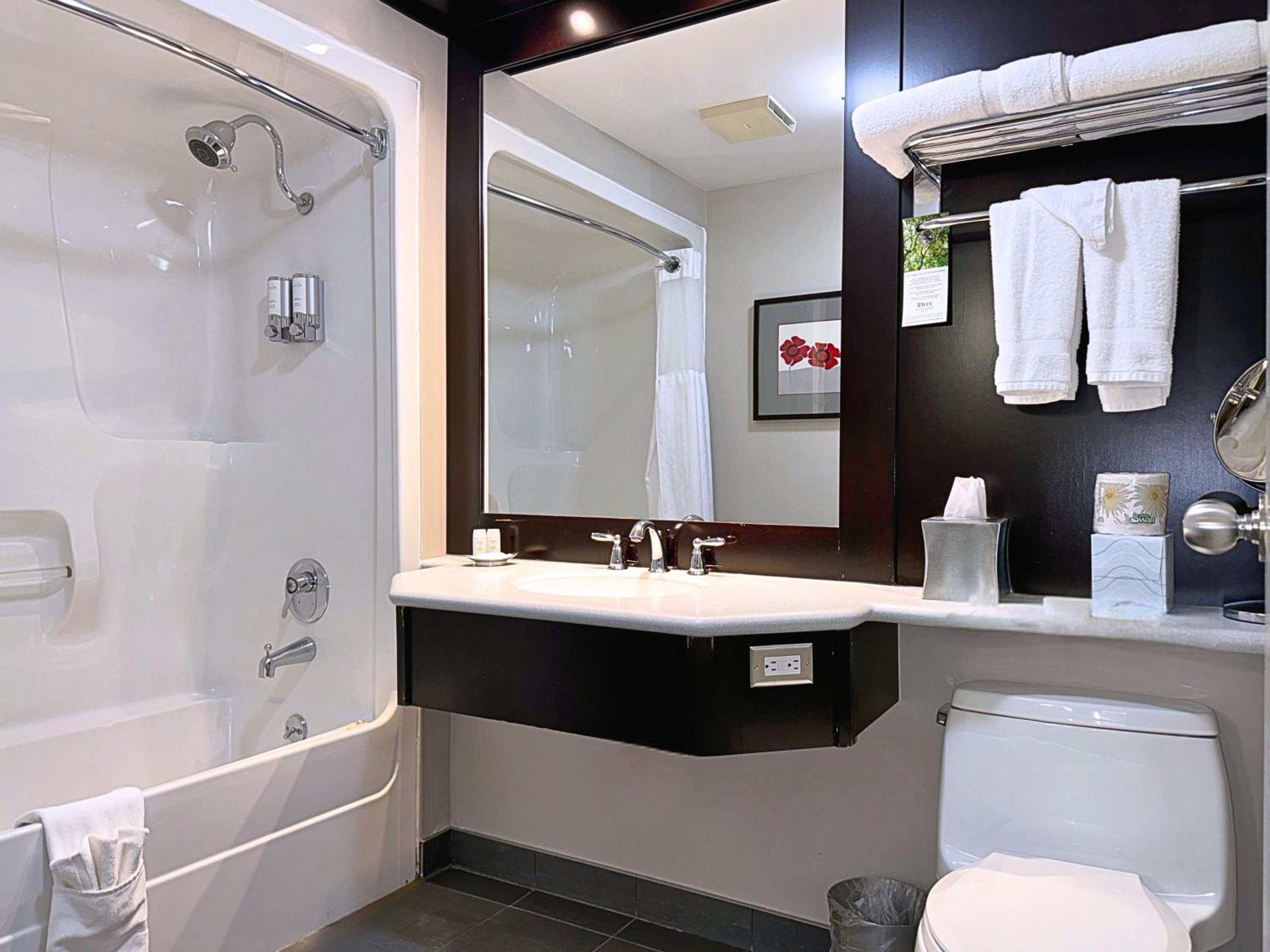 bathroom with a sink, toilet, and bathtub