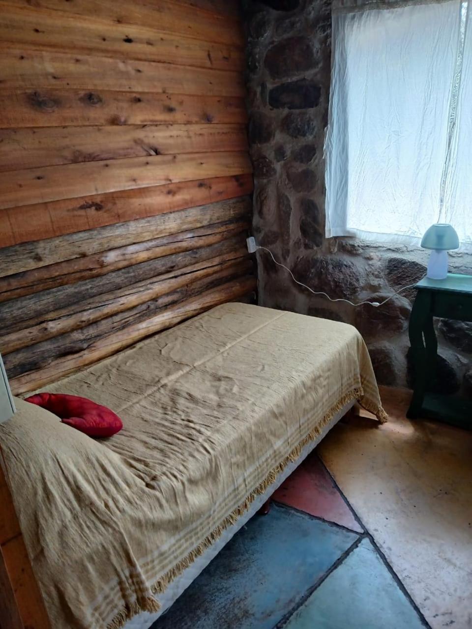 Single Room photo 1