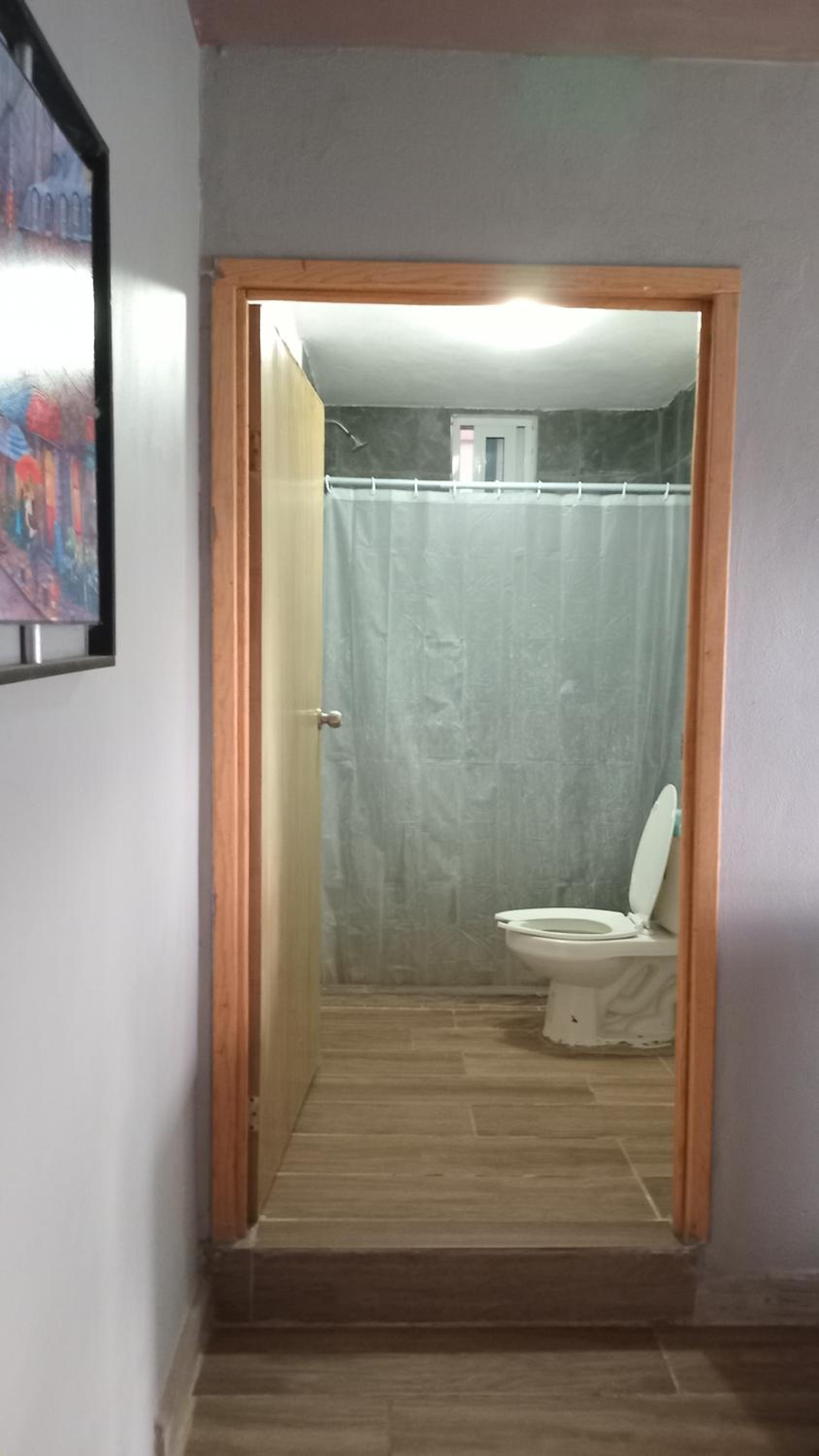 Large Single Room photo 2