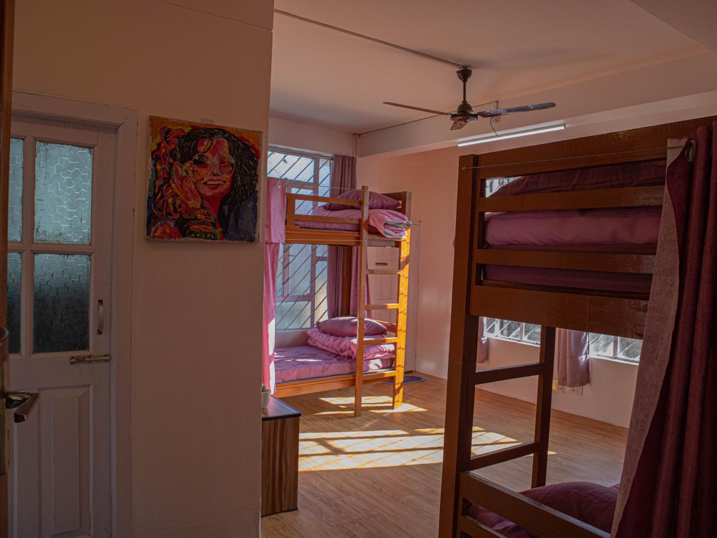 Bunk Bed in Female Dormitory Room   photo 2