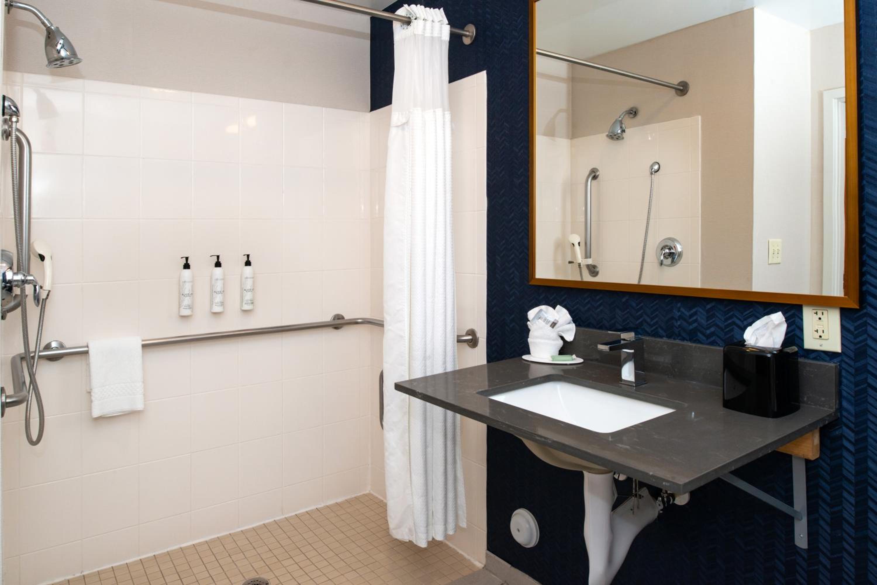 King Room with Roll-in Shower - Mobility and Hearing Accessible - Photo 2