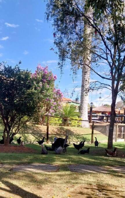 Four-Bedroom House photo 2